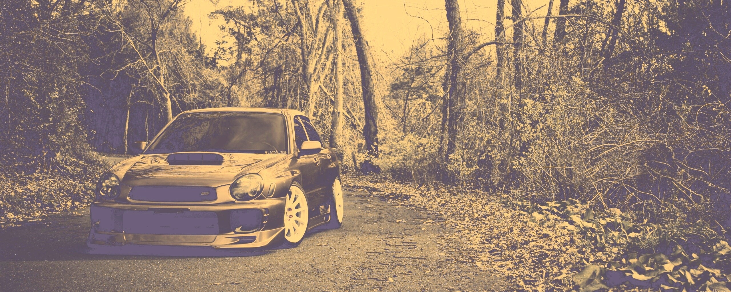 Субару Импреза на лесной дороге обои