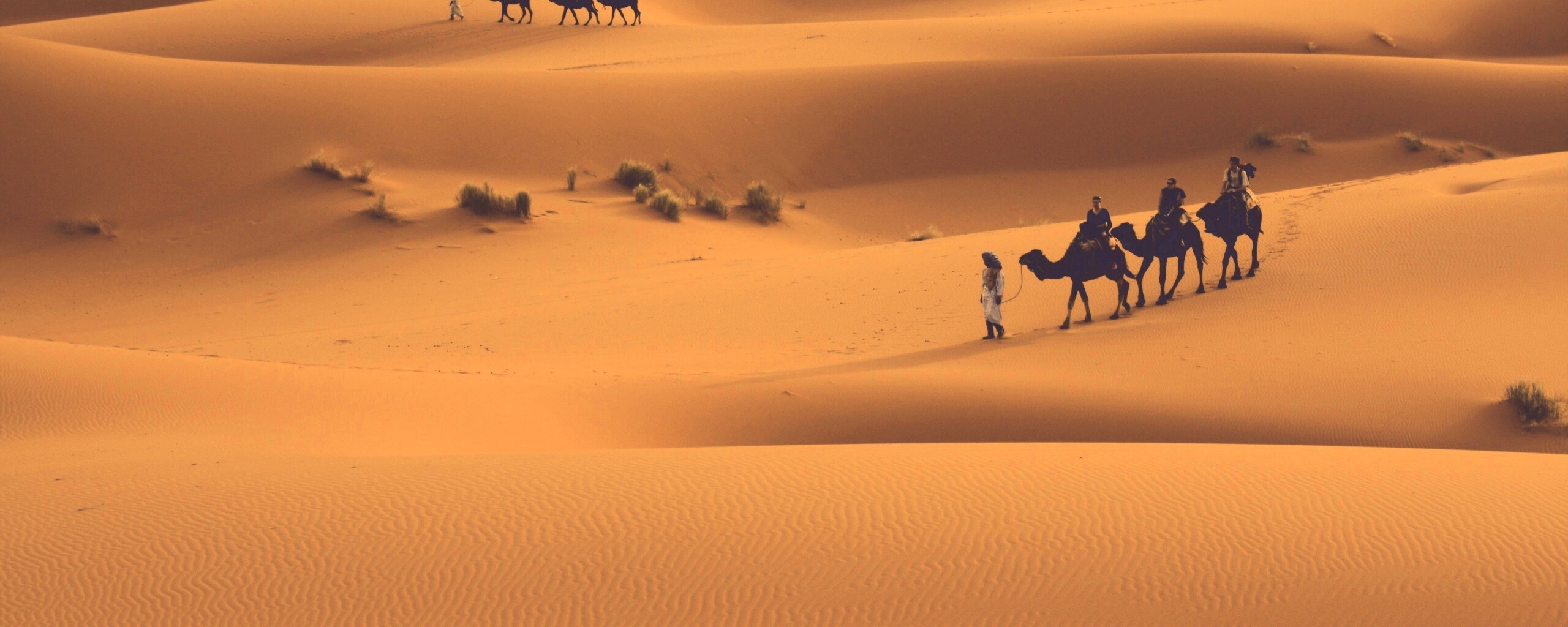 Караваны пустыни обои