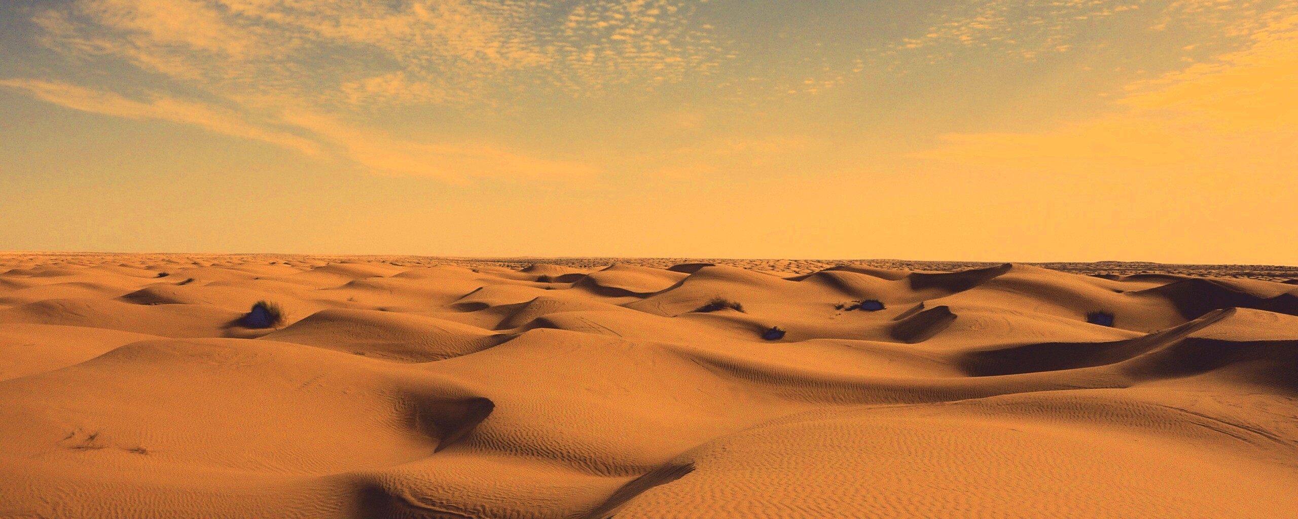 Пустыня до самого горизонта обои