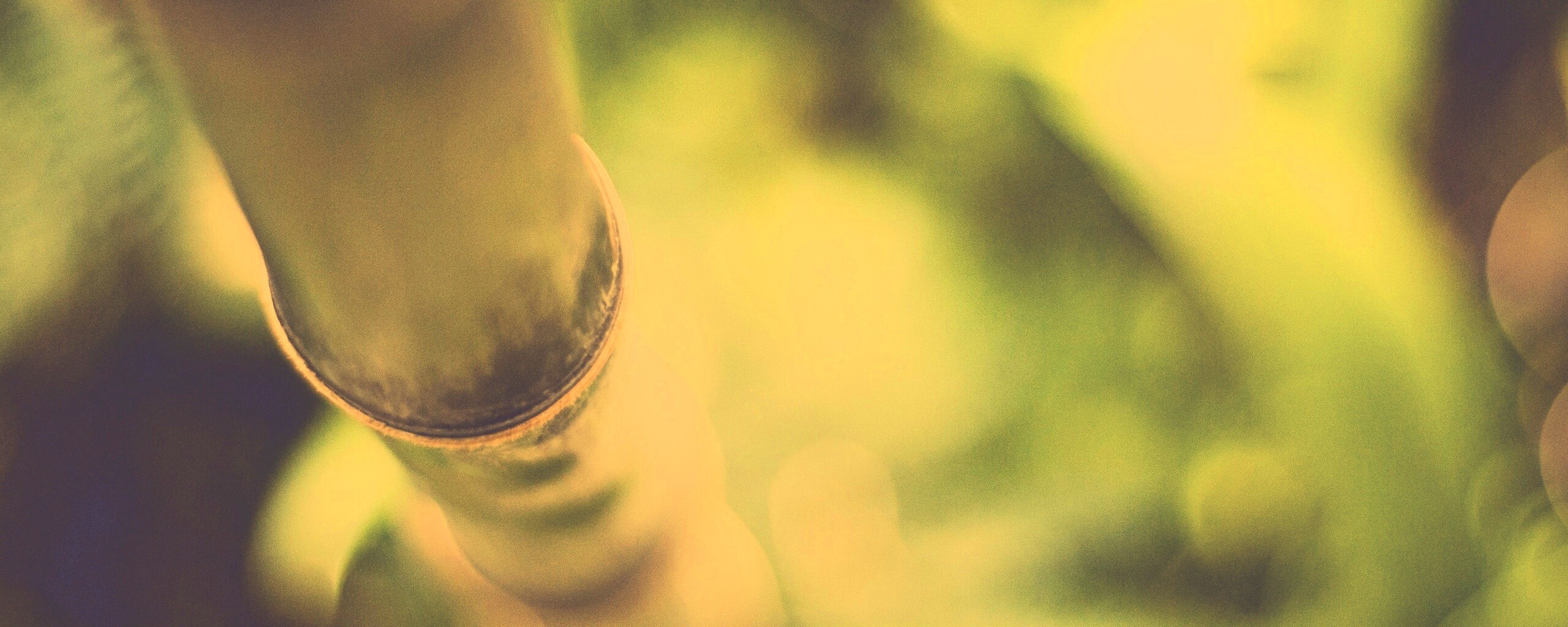 Бабмук растет обои