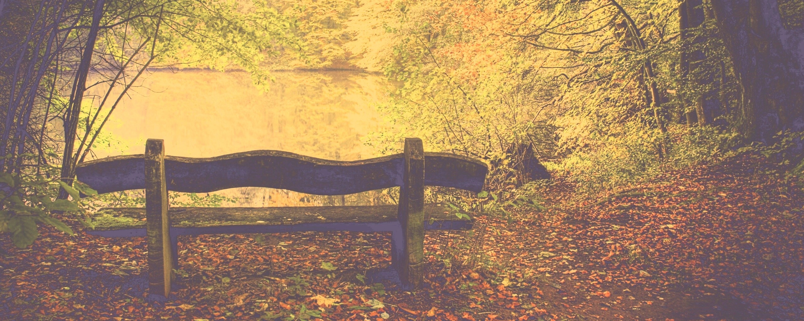 Скамейка в лесу обои