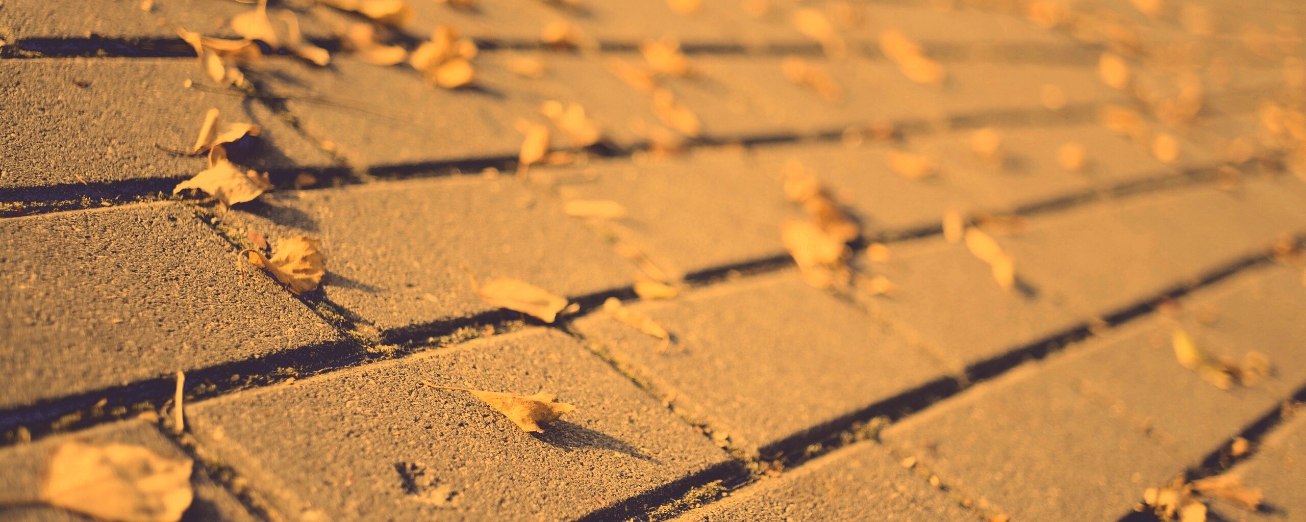 Тротуар обои