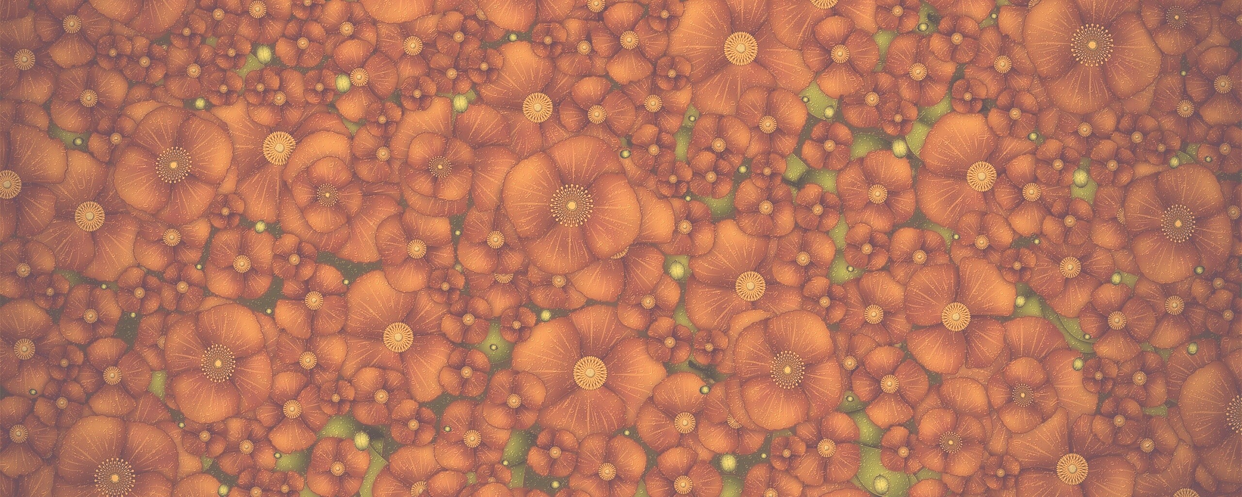 Рисунко с красными цветами обои