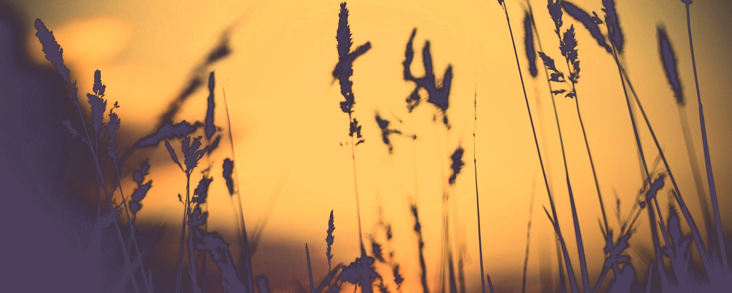 Дыхание природы обои