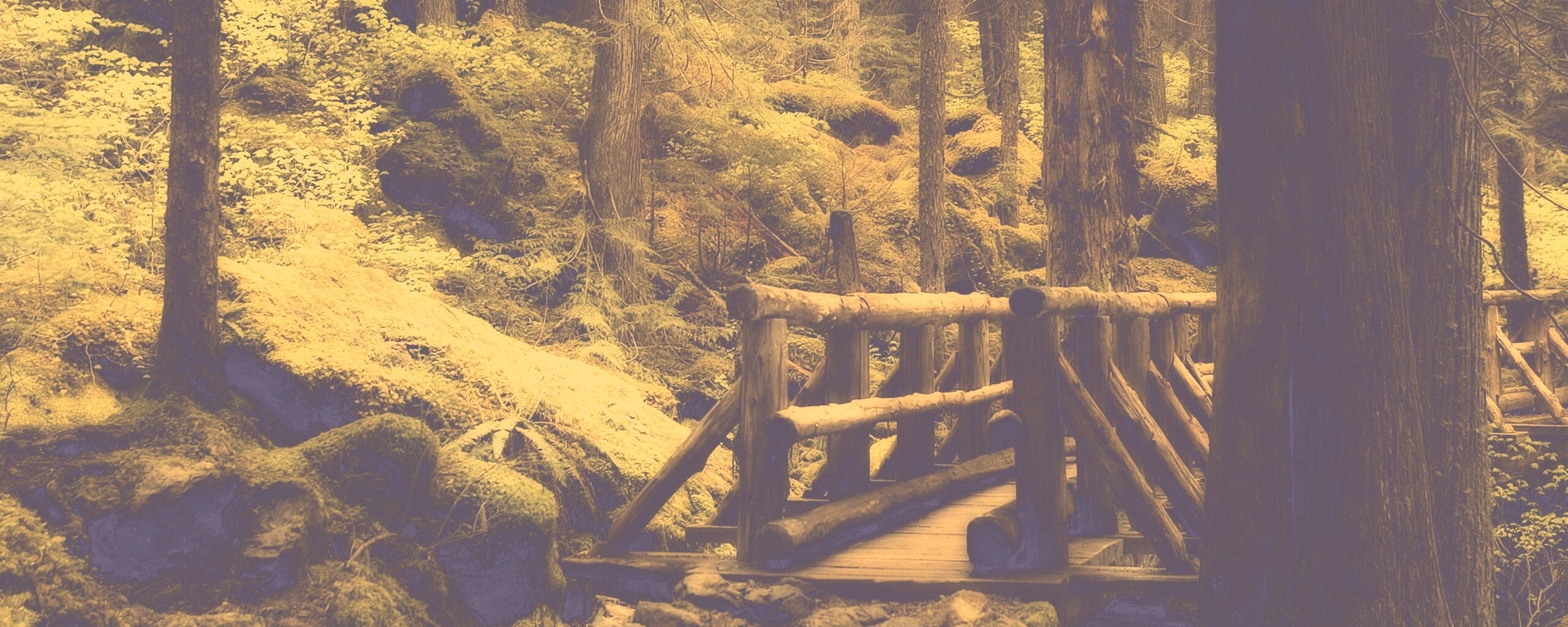 Бревенчатый мост в лесу обои