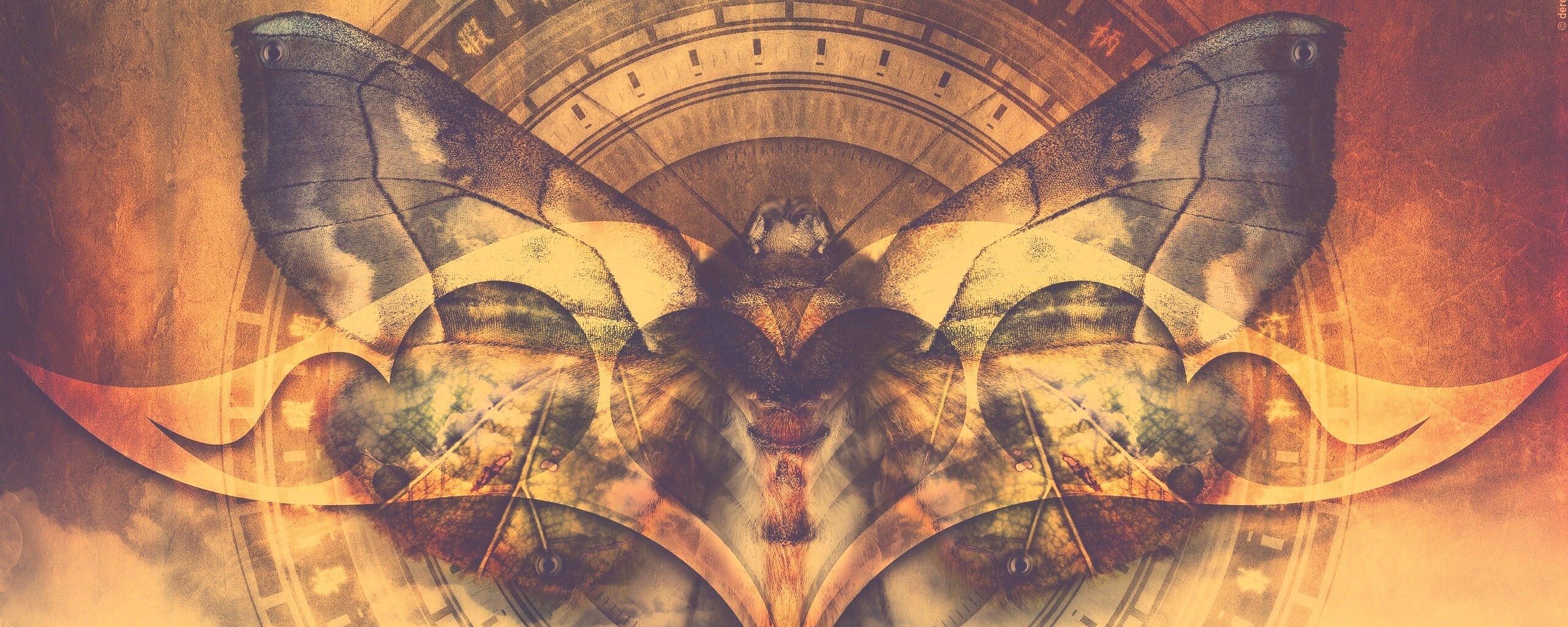 Красивая фэнтезийная бабочка обои