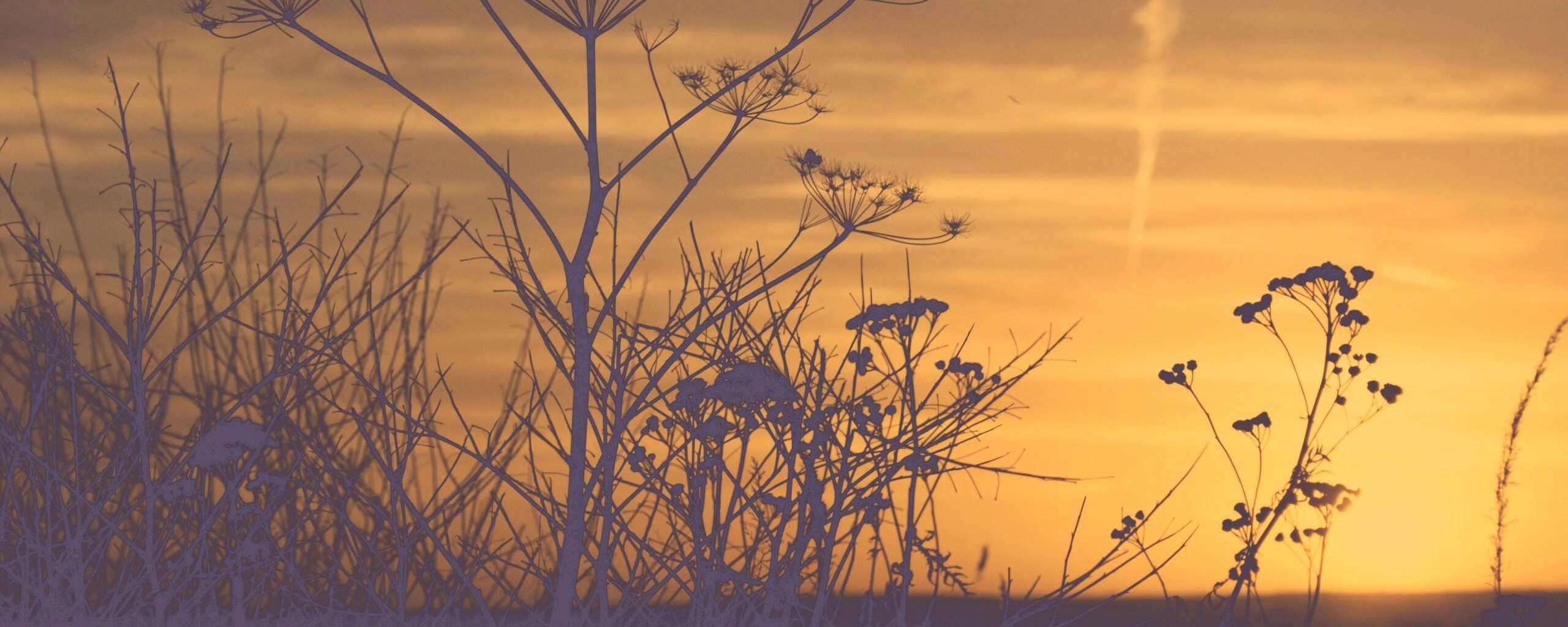 Степной закат обои