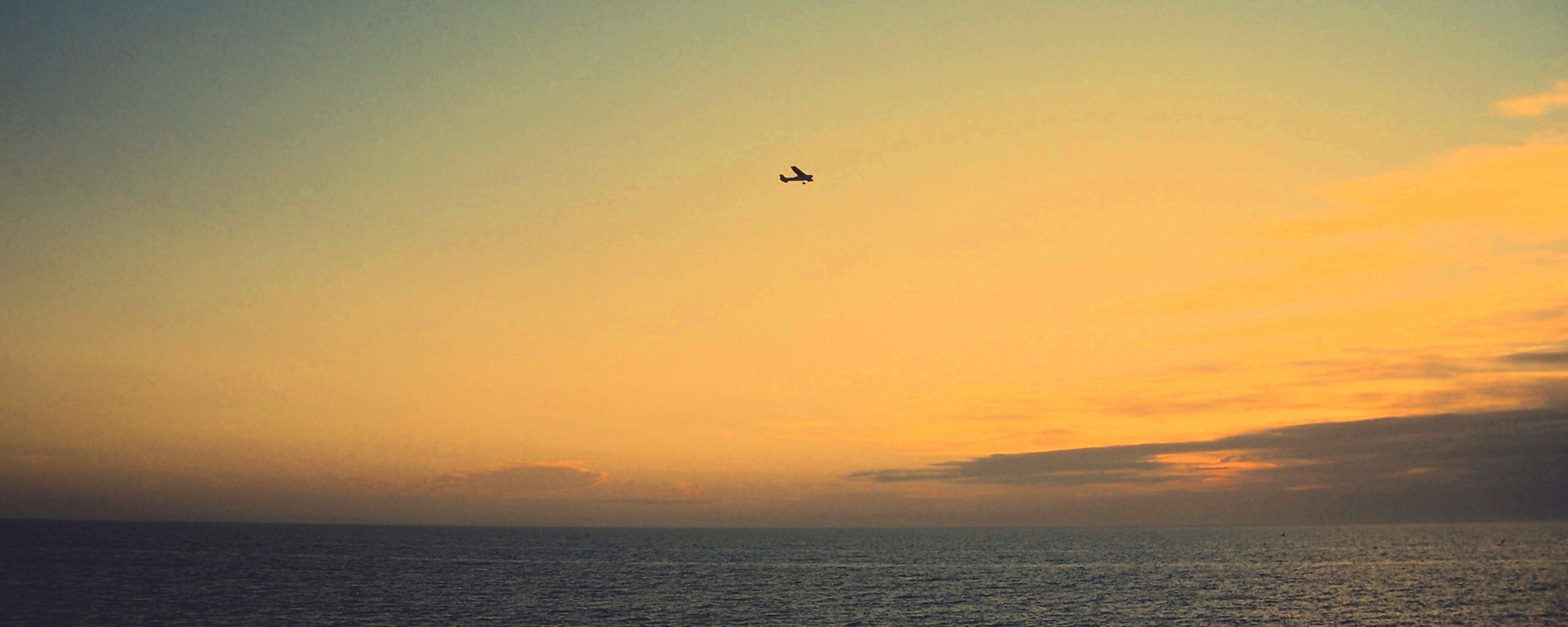 Паращий над морем обои