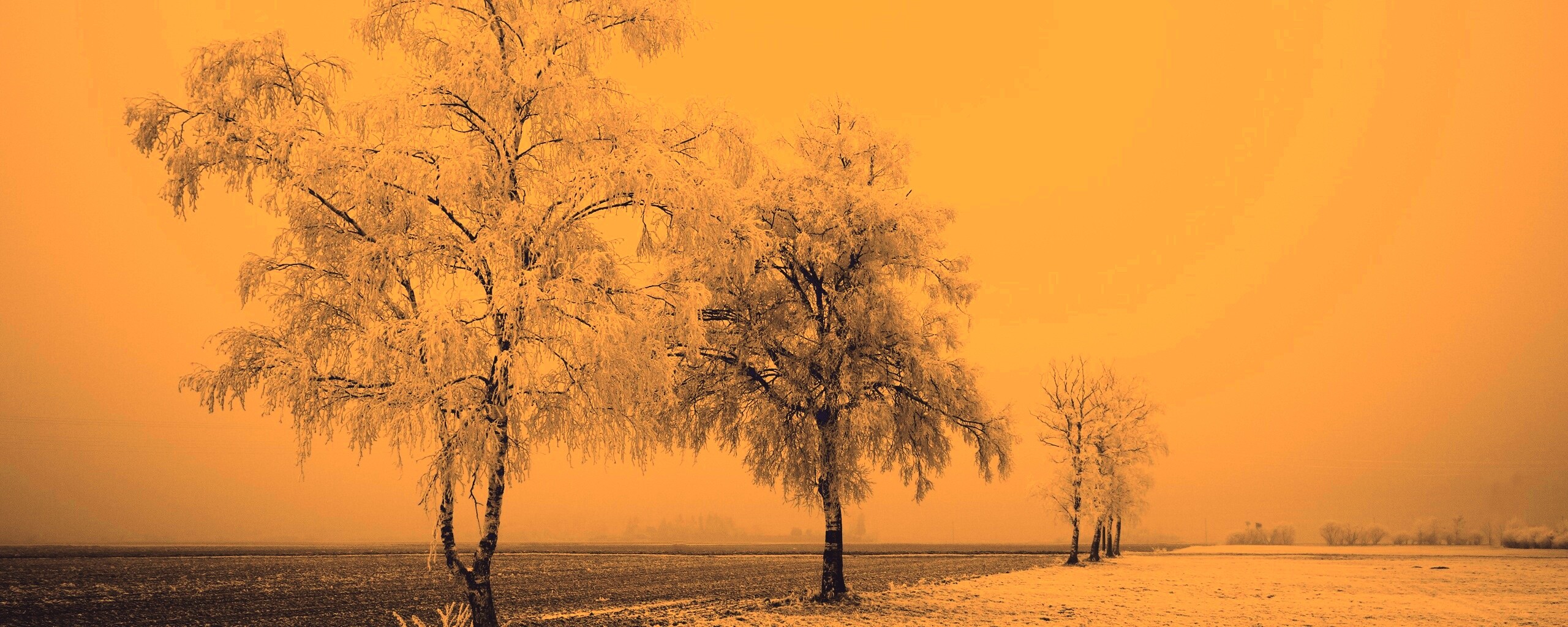 Первый снег обои