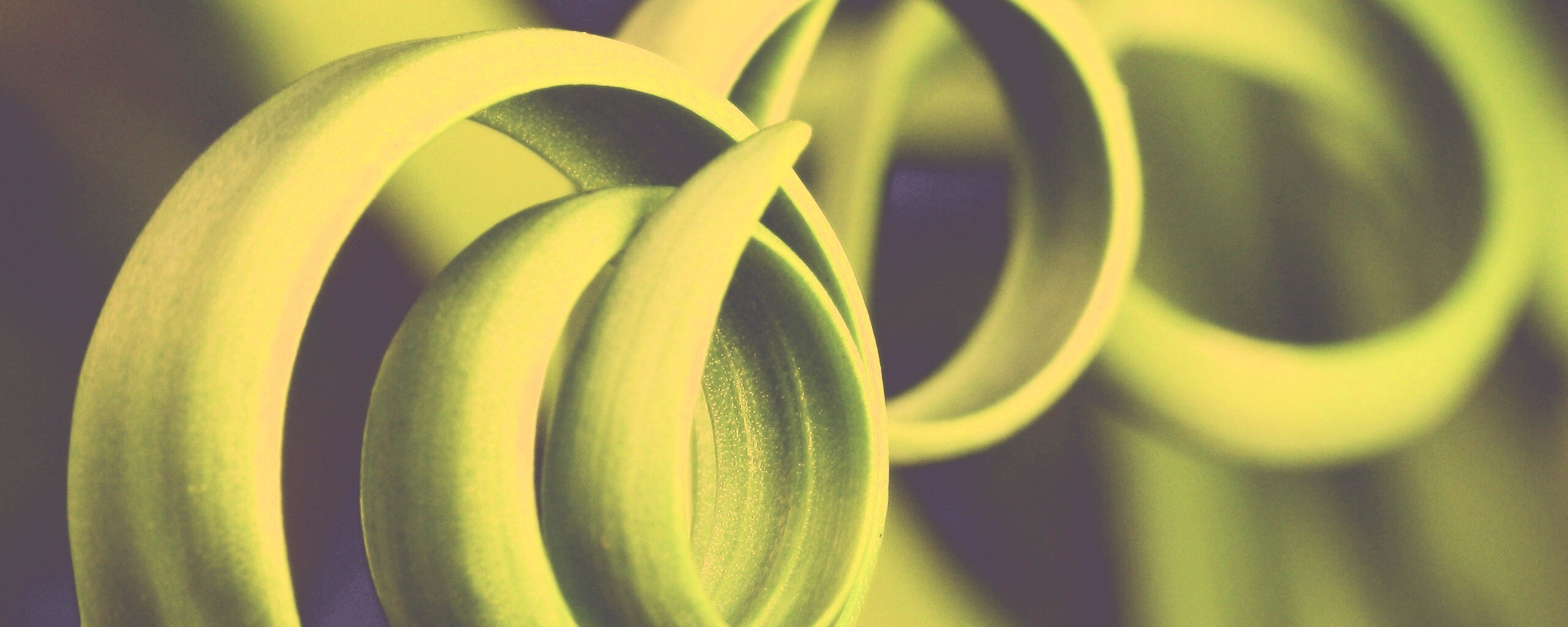 Зеленый обруч обои