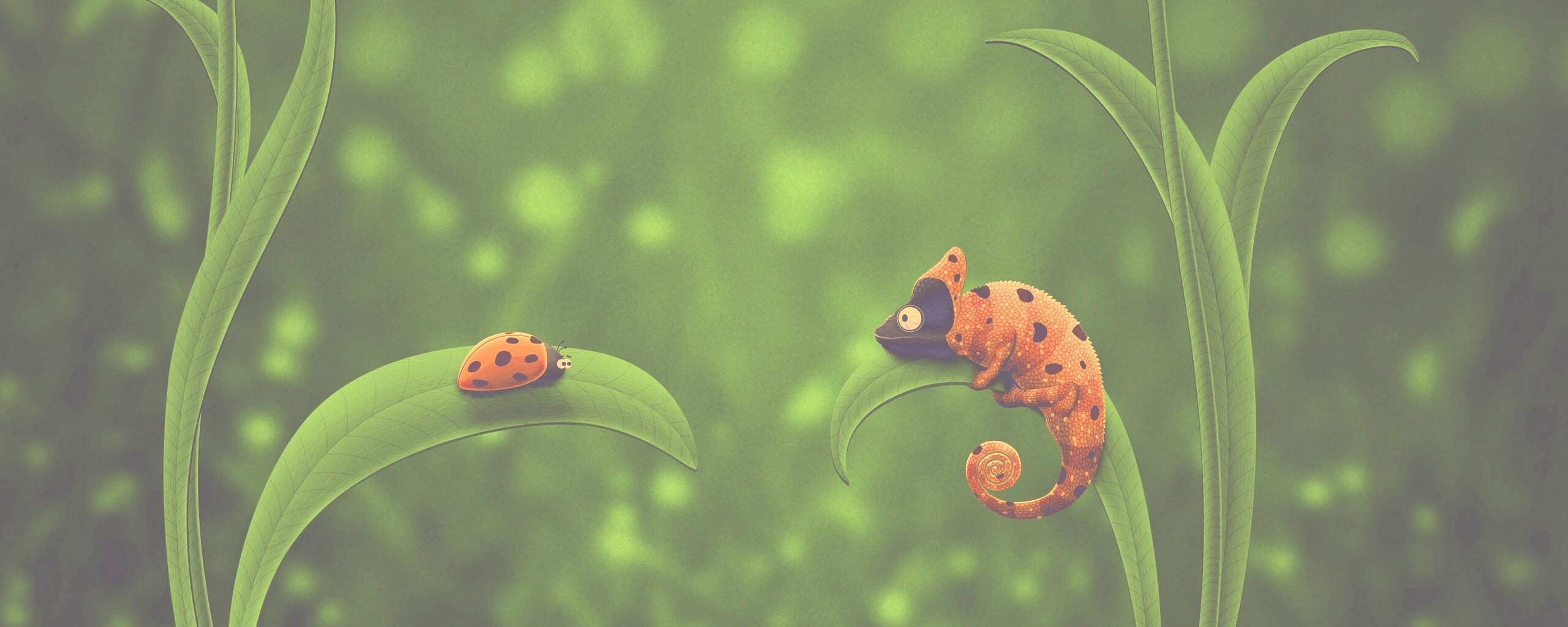 Хамелеон  замаскированный под божью коровку обои