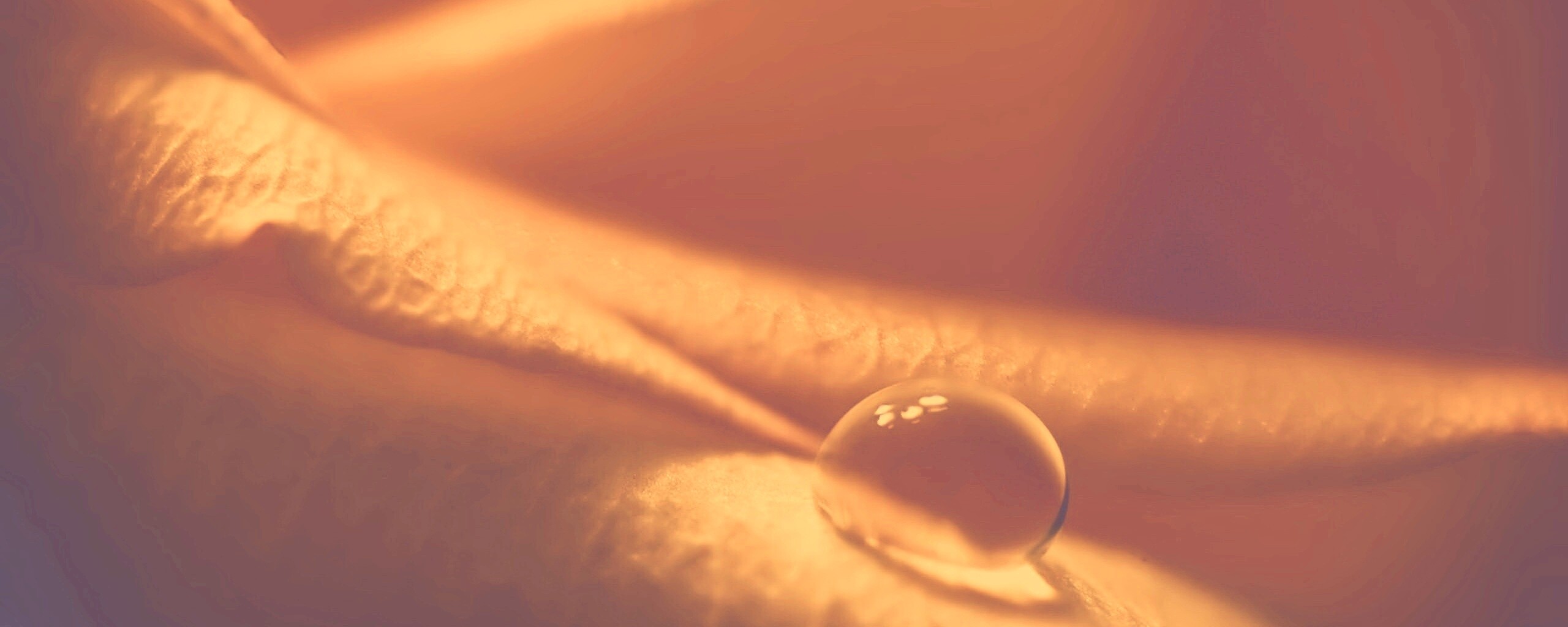 Капелька обои