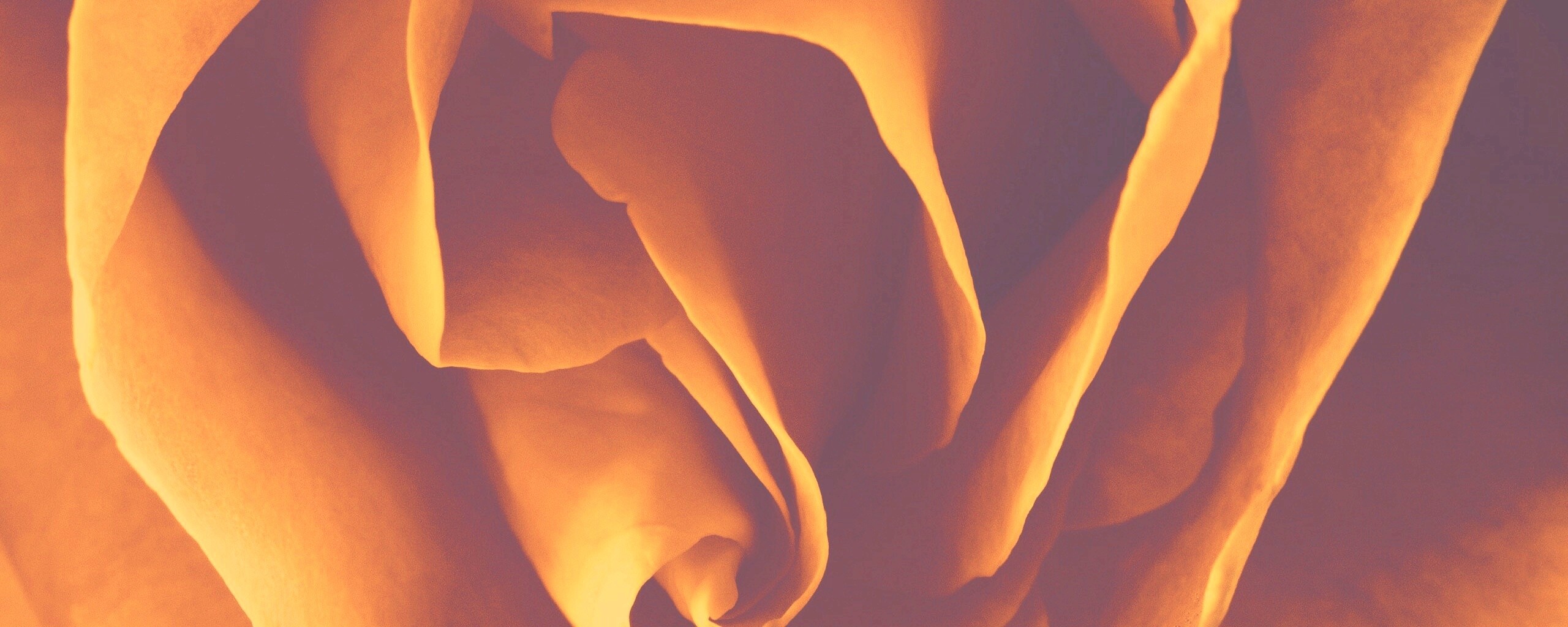 Макро фотка бутона обои