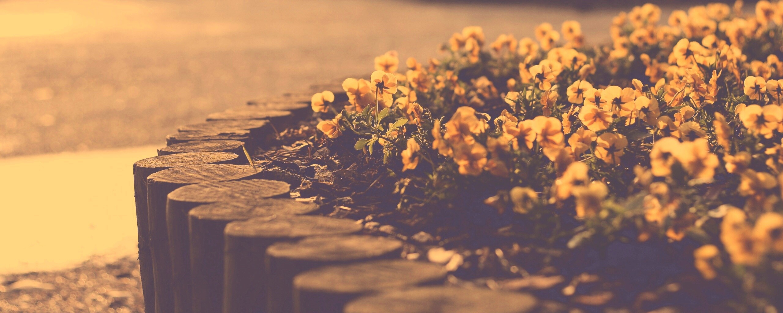 Красивая цветочная клумба обои