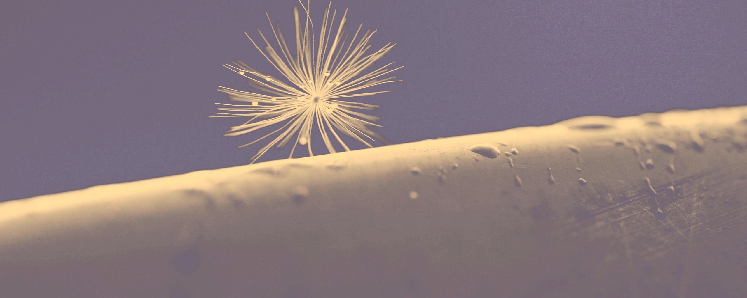 Прилипшая пушинка обои