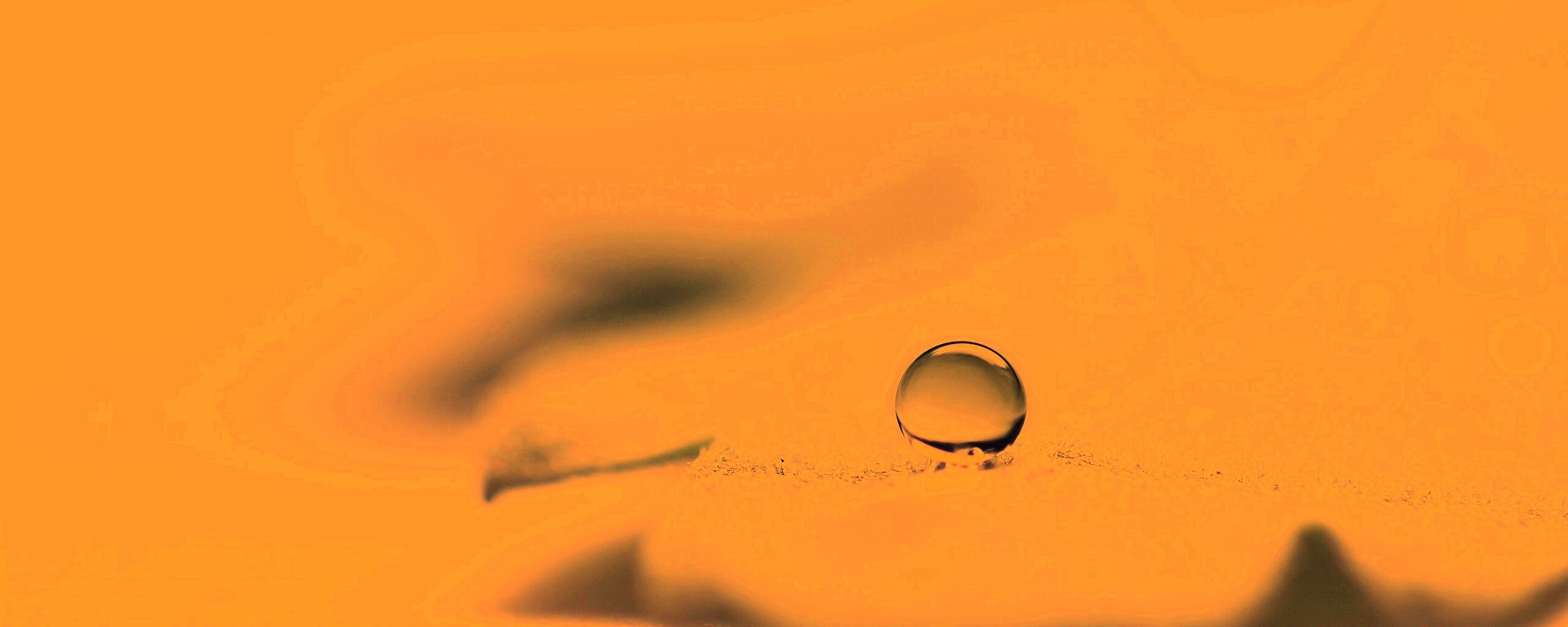 Капля на замёрзжем листе обои