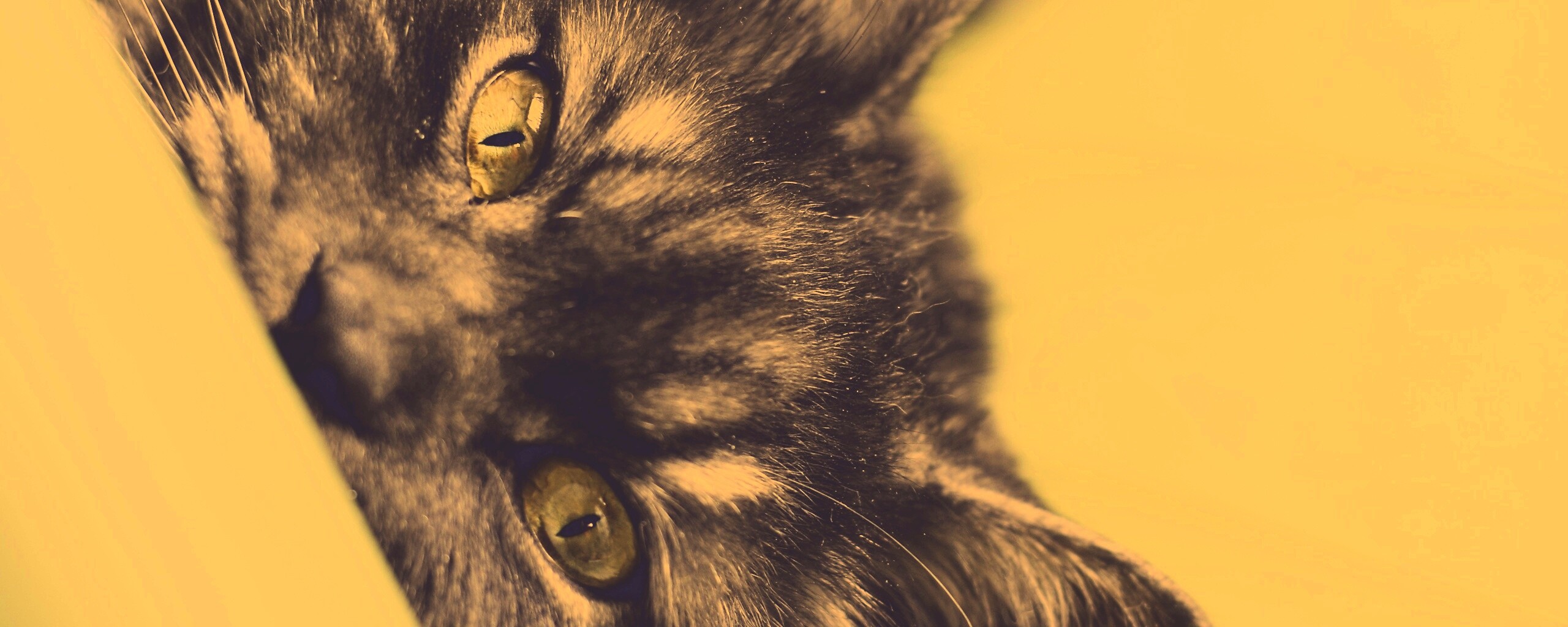 Глаза и уши обои