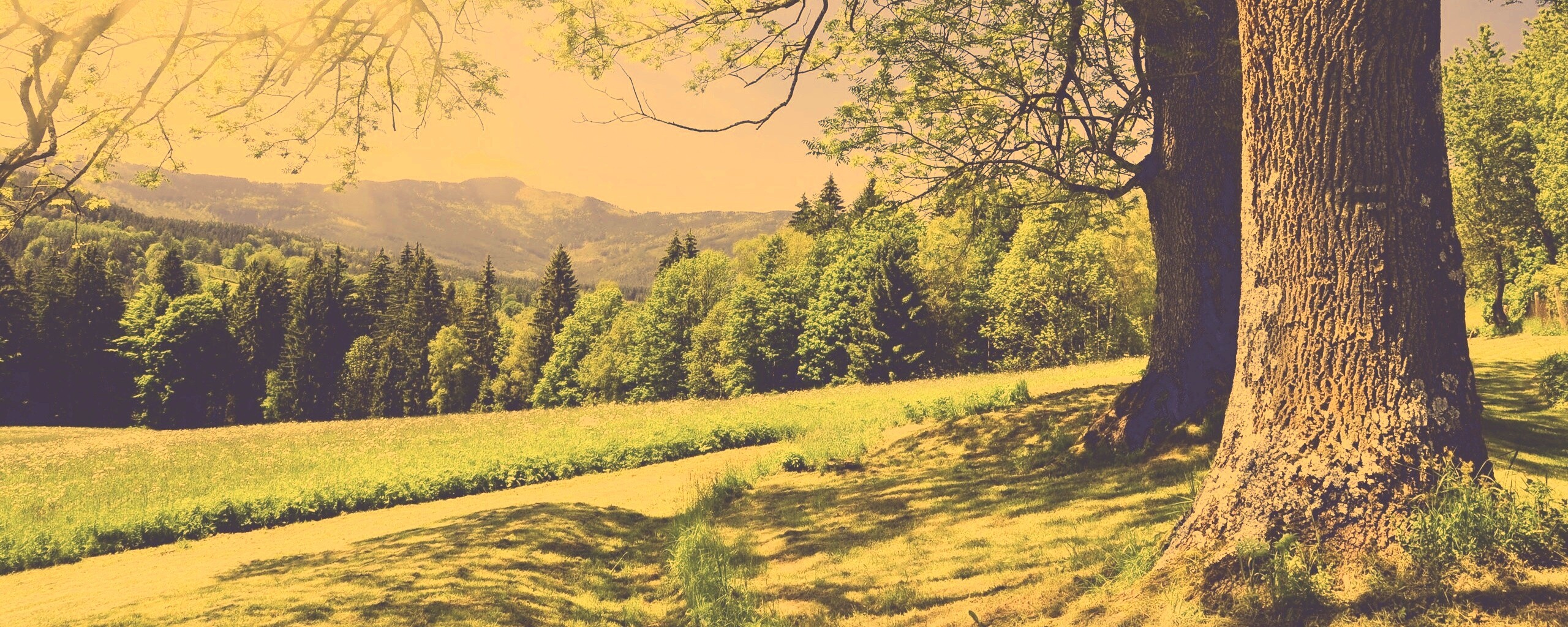 Лето в деревне обои