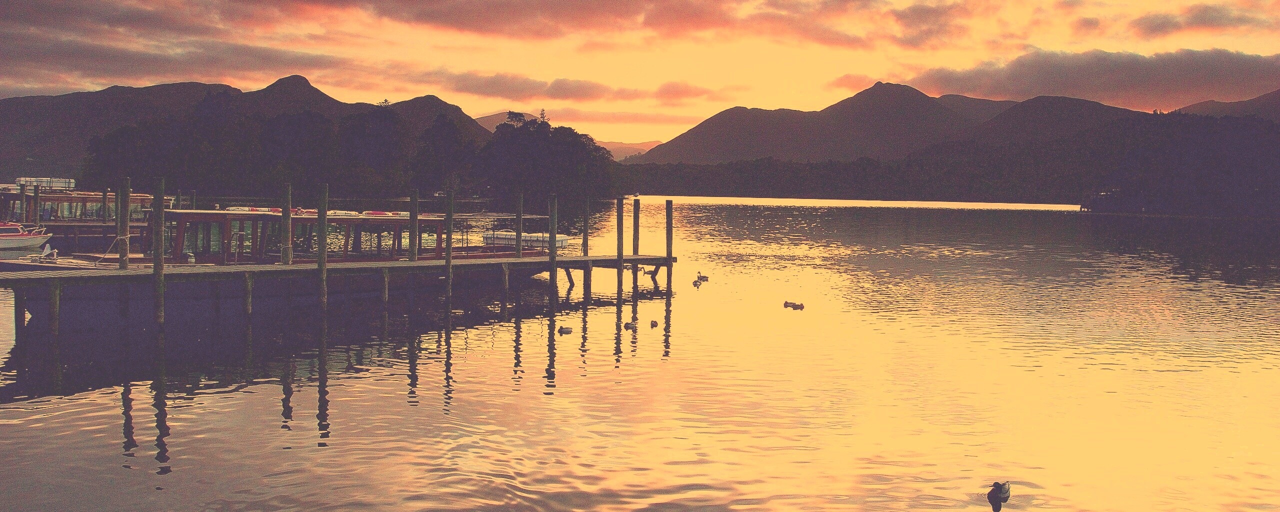 Причал на озере и утки обои