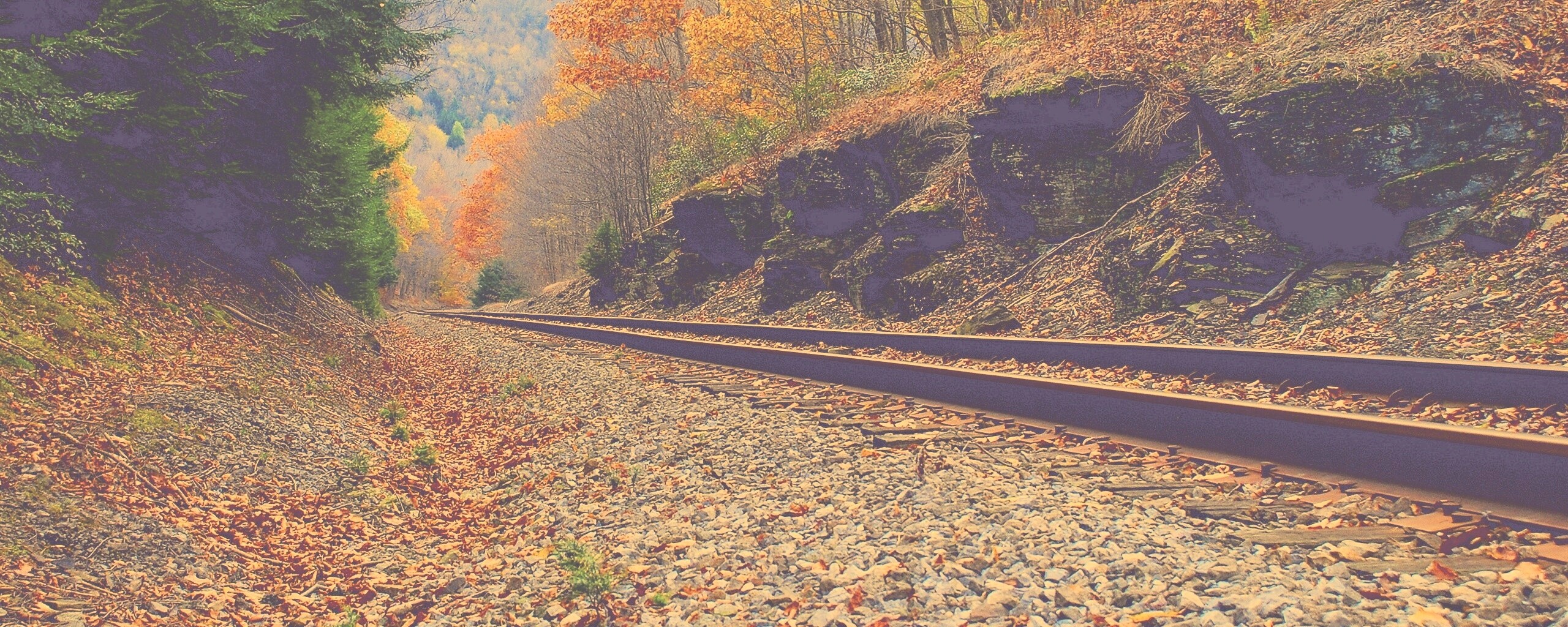 Железная дорога в скалистой местности обои