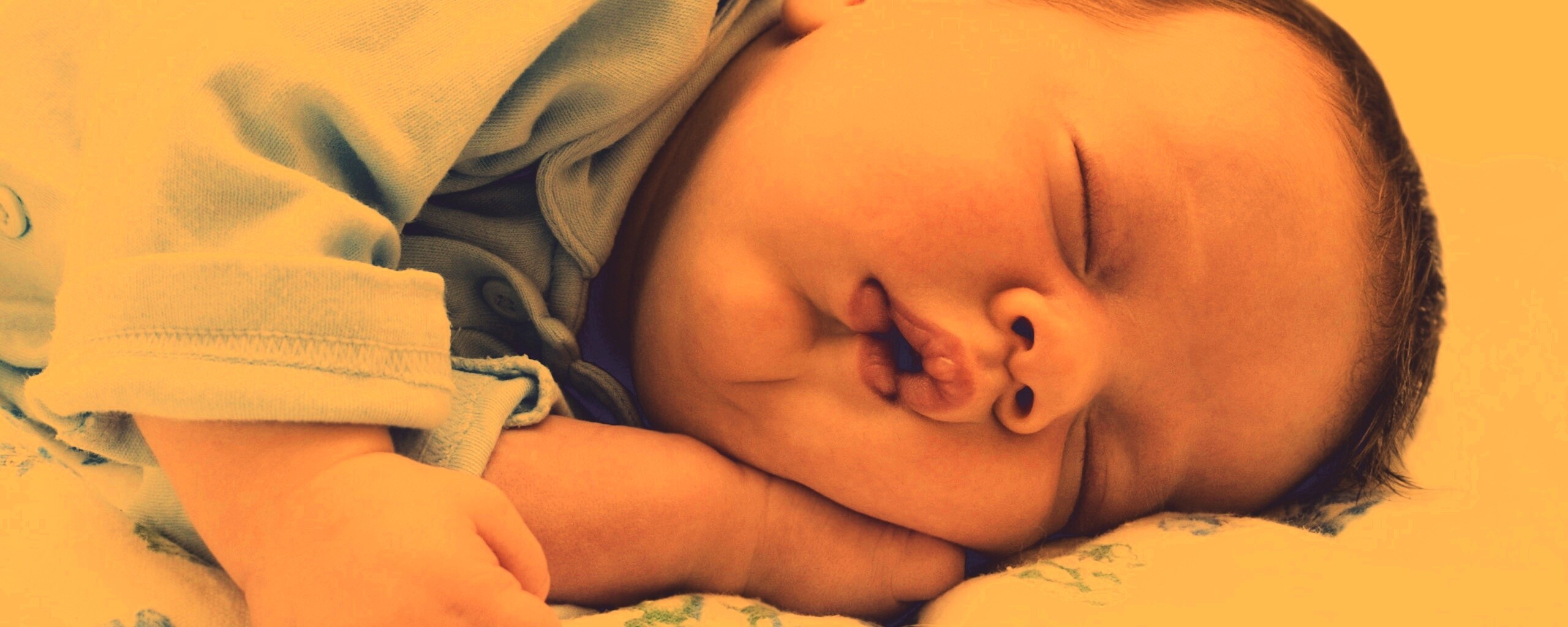 Спящая прелесть обои