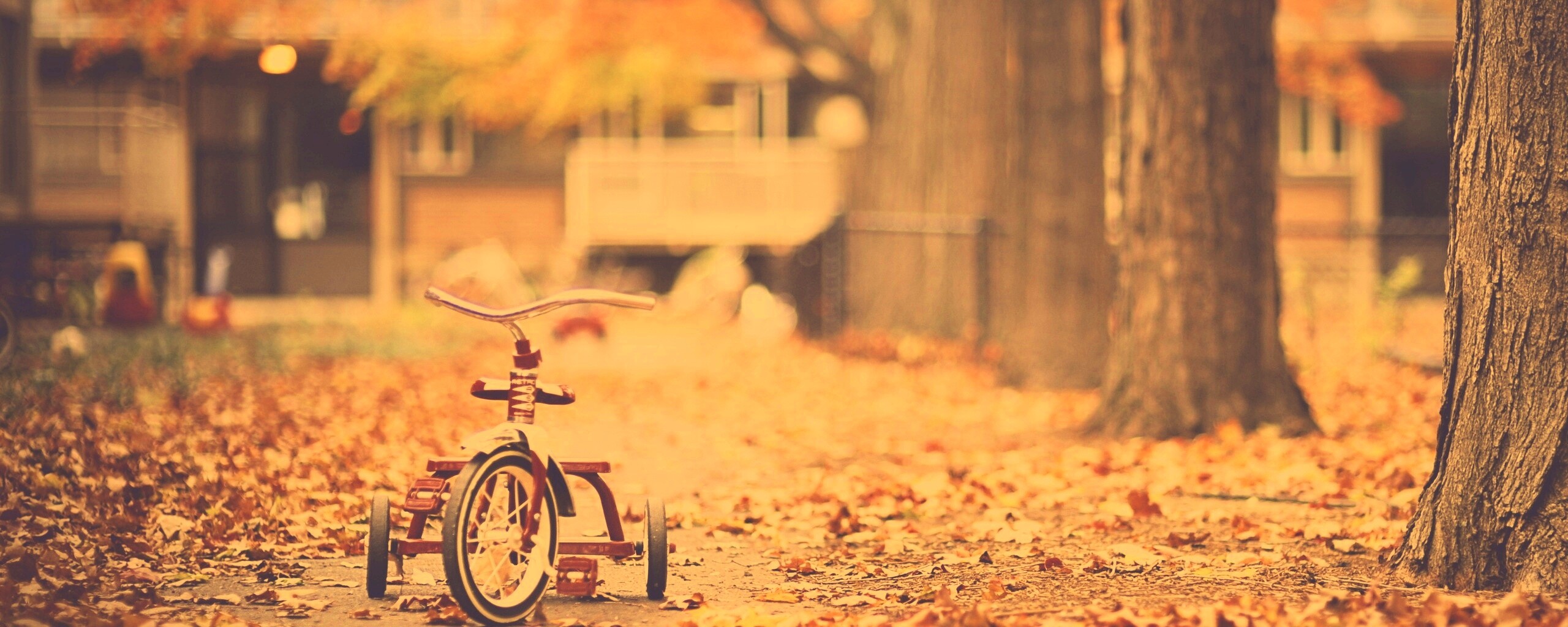 Трёхколёсный друг на осенней дорожке обои