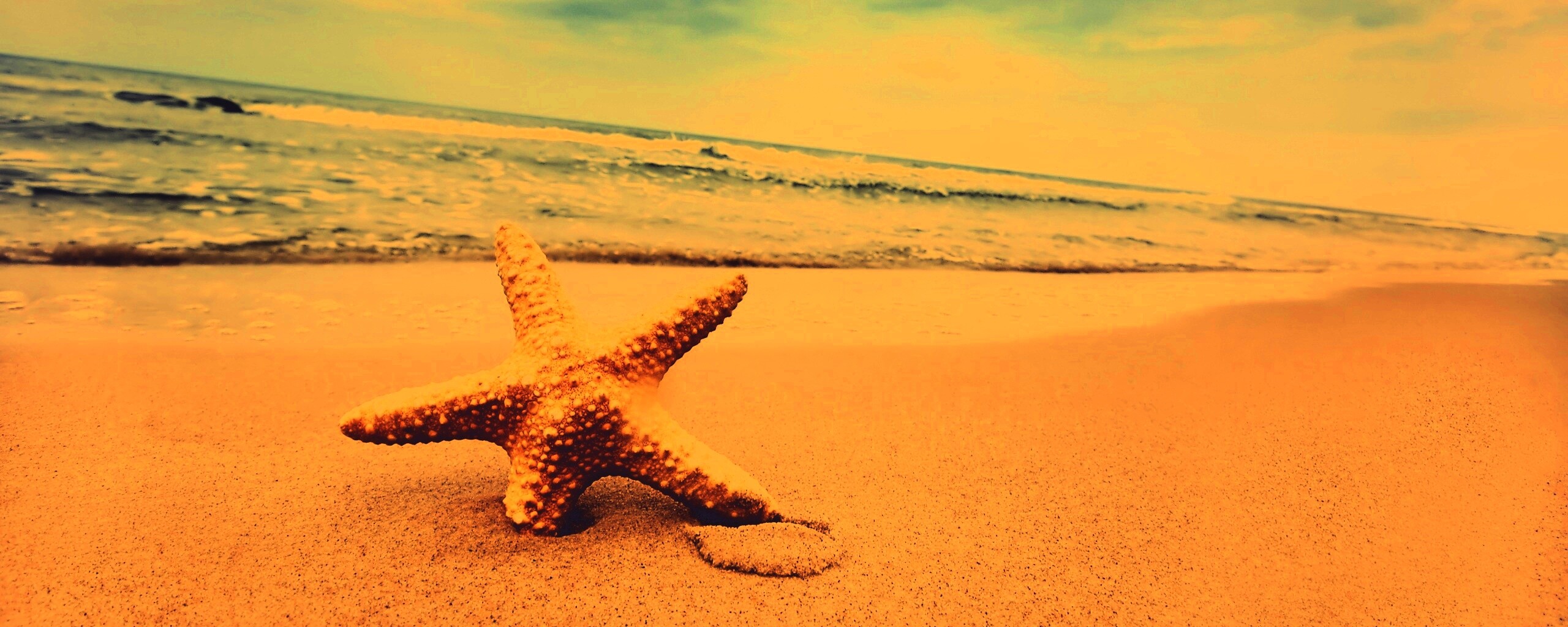Морская звезда в песке обои