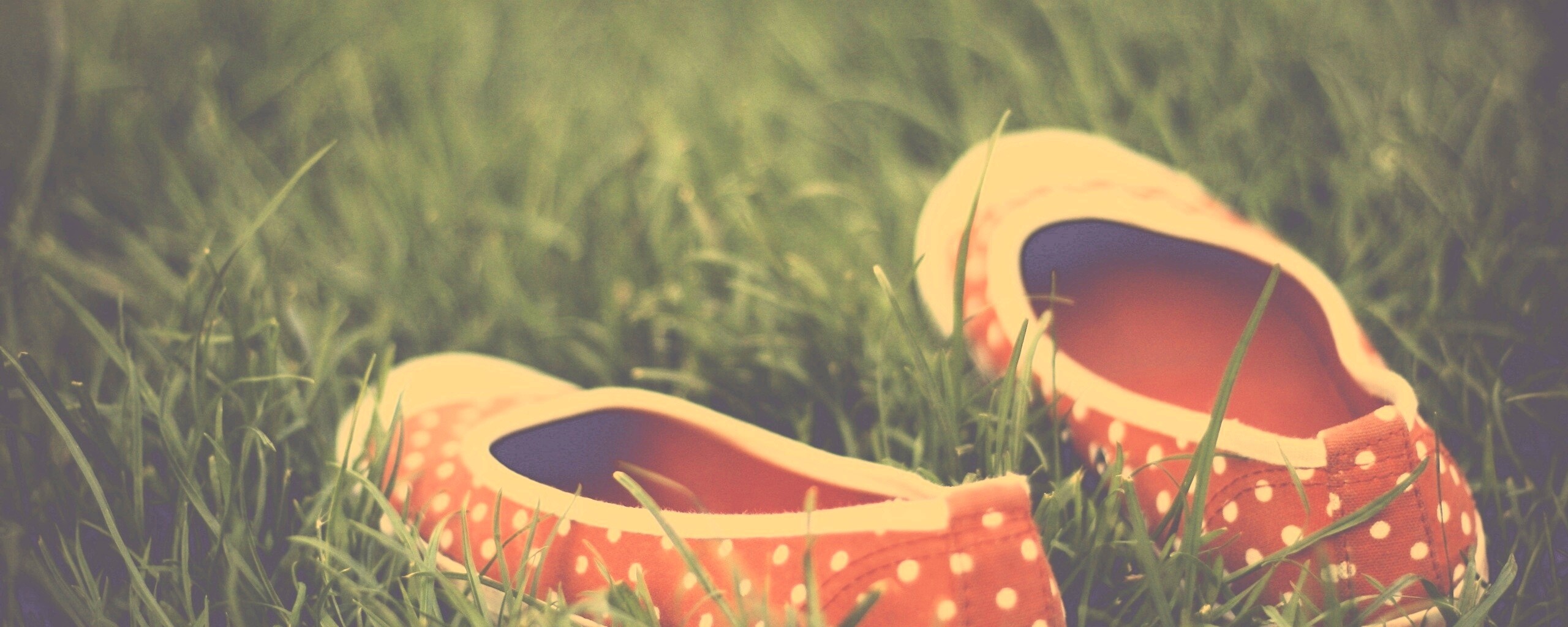 Красные тапки в горошек обои