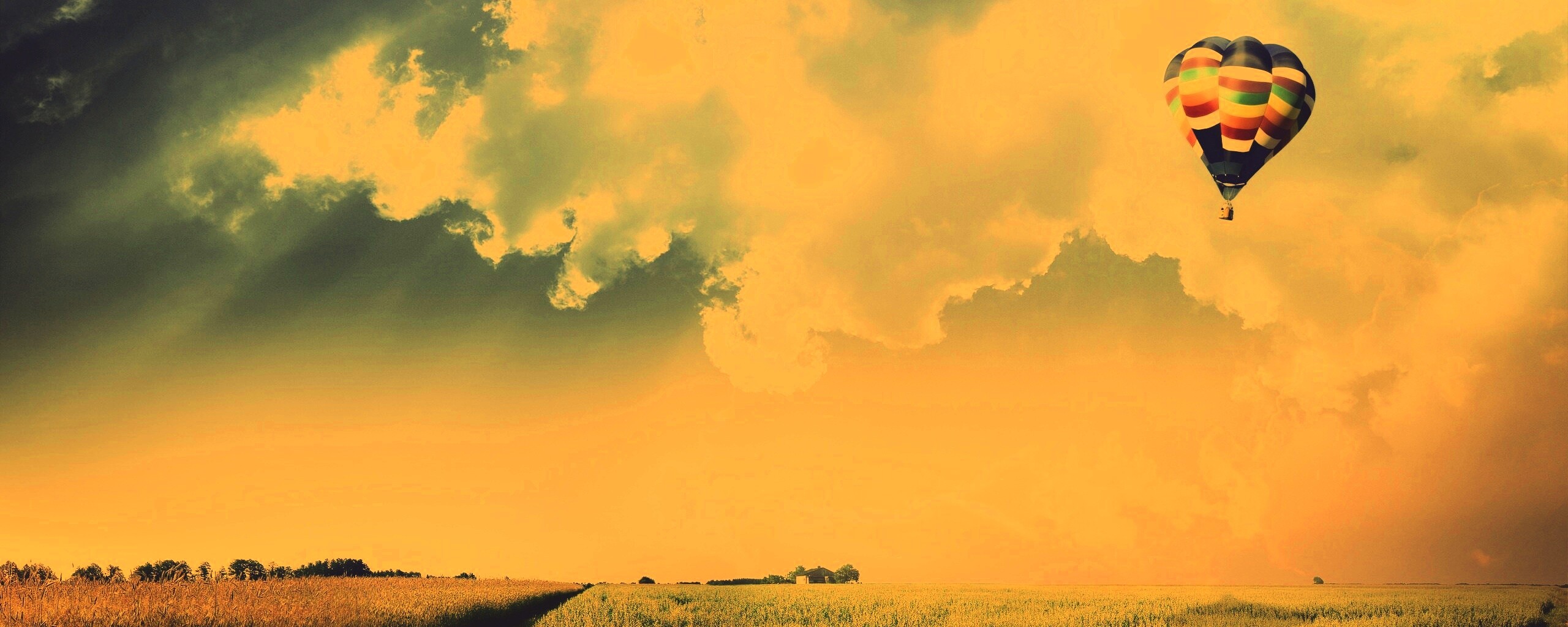 Воздушный шар над зеленым лугом обои