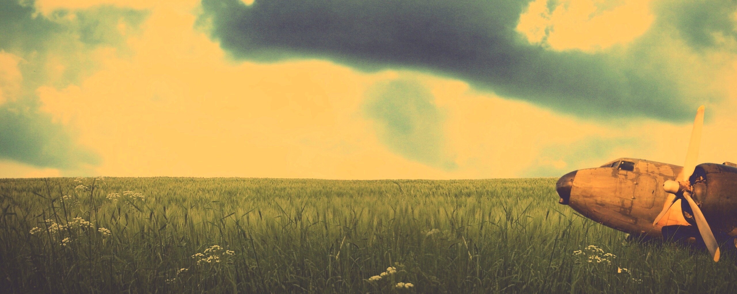 Старый ржавый самолет на лугу обои