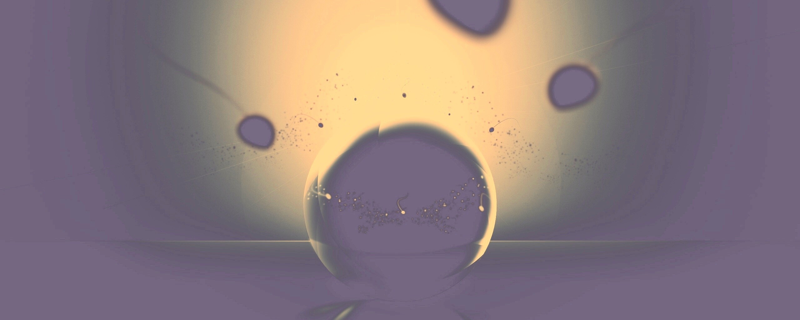 Оплодотворение обои