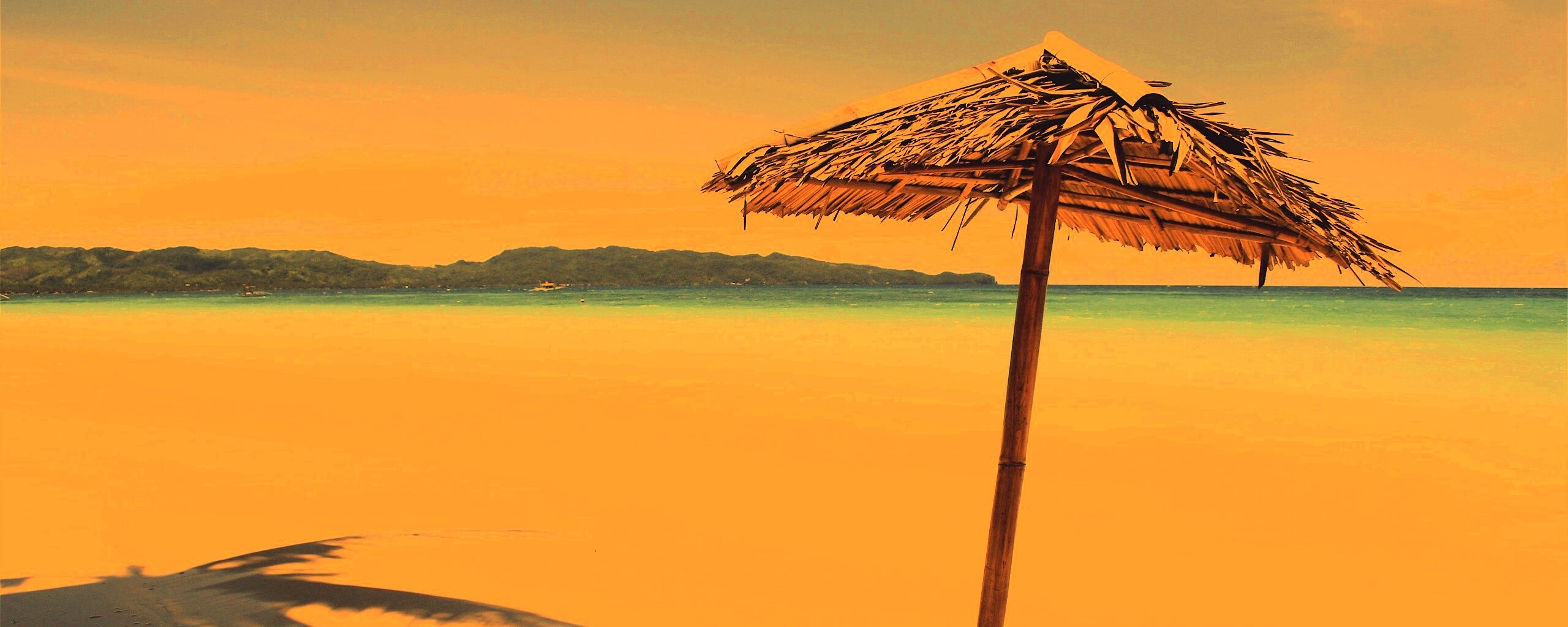 Тросниковый зонт обои