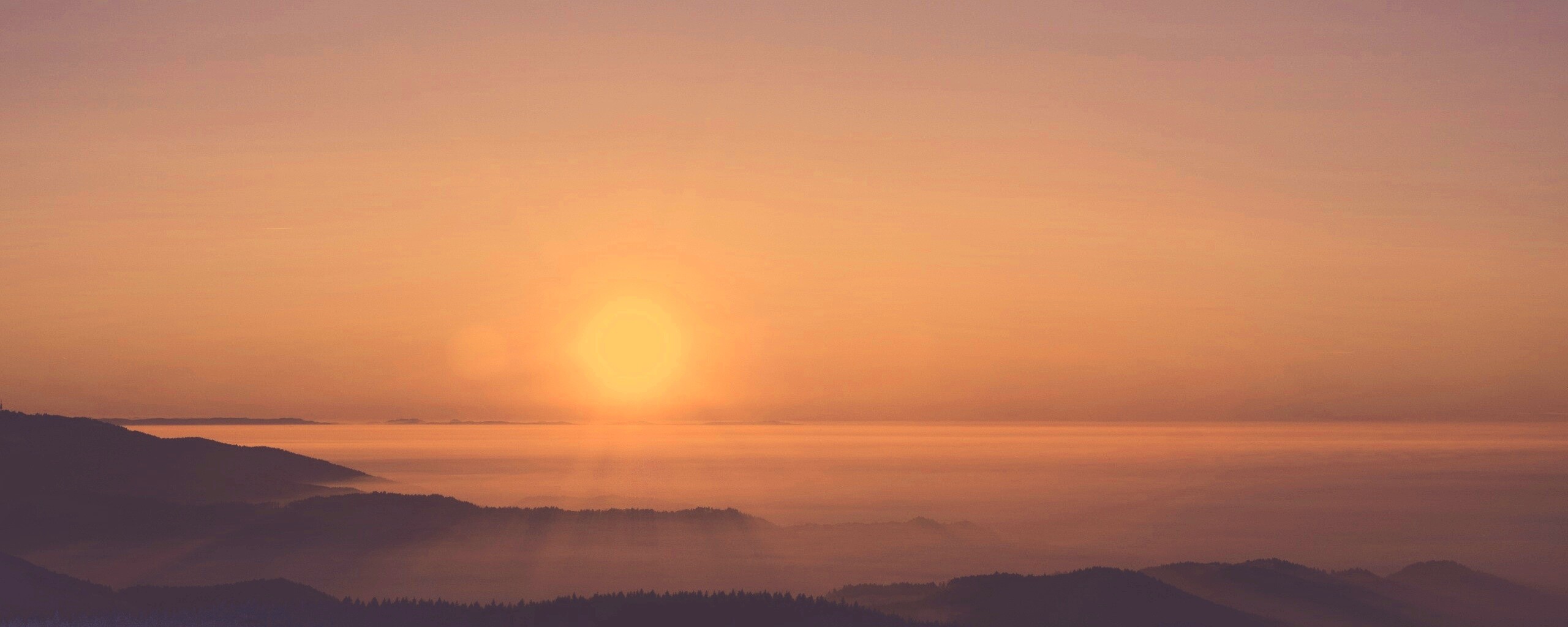 Восход солнца над лесом обои