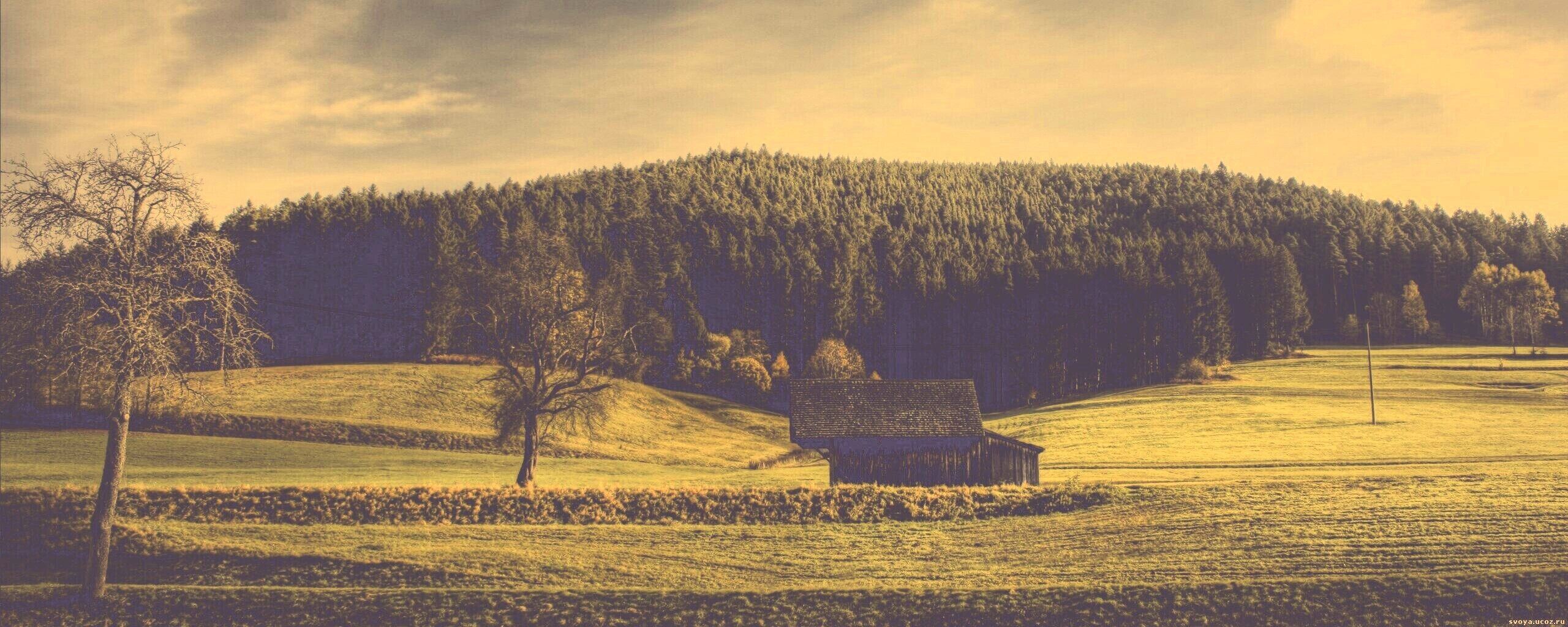 Домик в поле обои