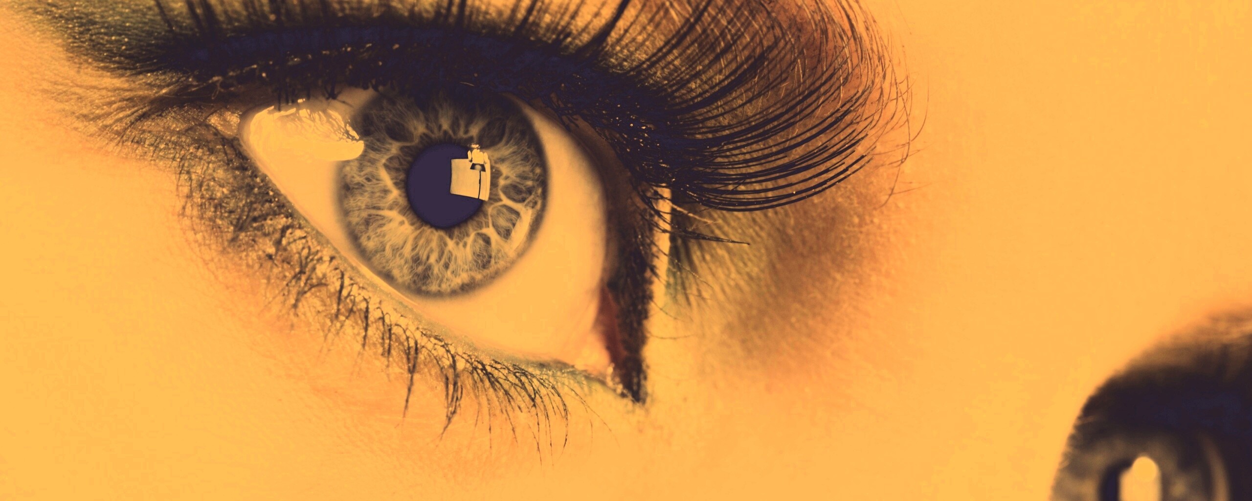 Глаза цвета стали обои