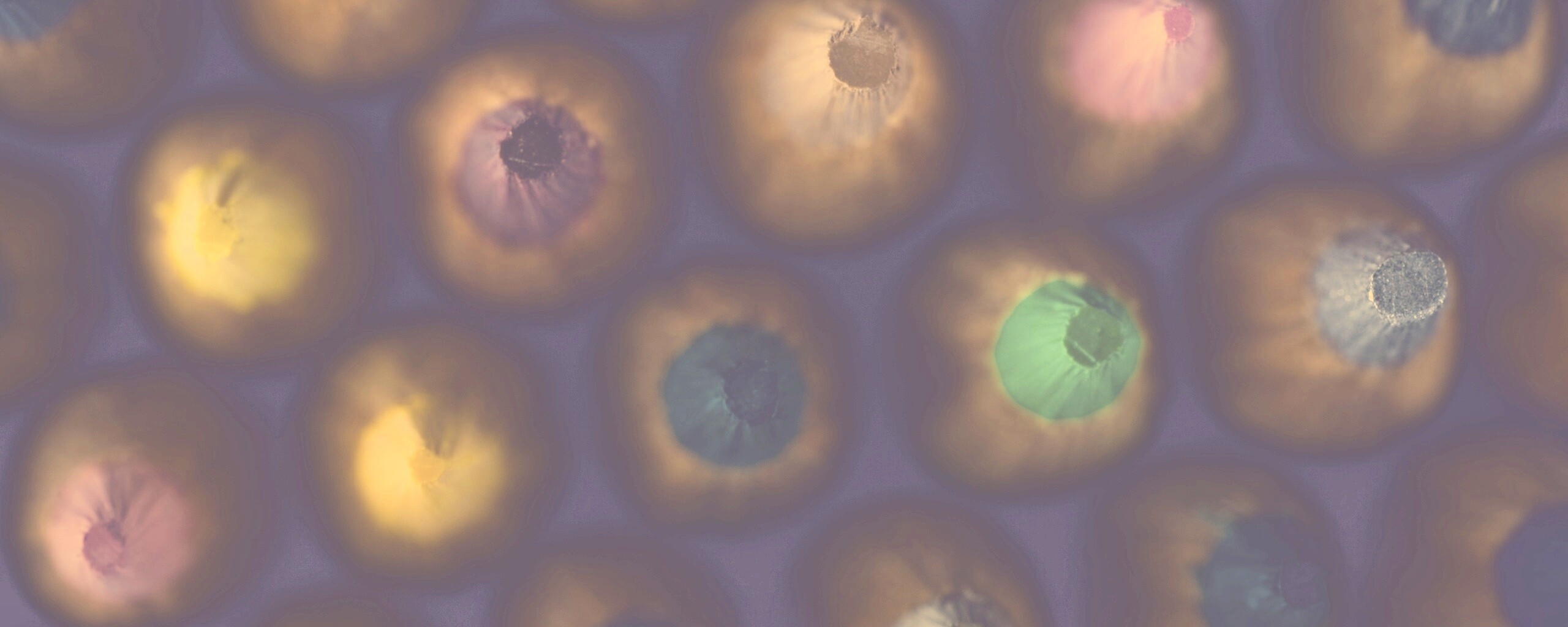 Карандаши обои