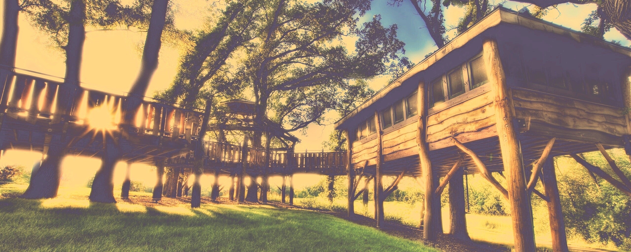 Природа обои