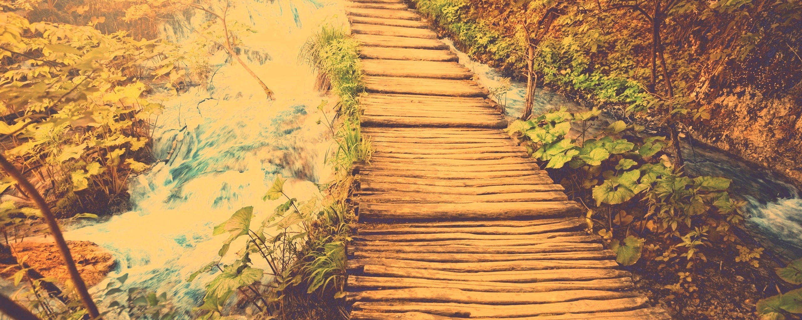 Деревянная дорожка над ручьем обои