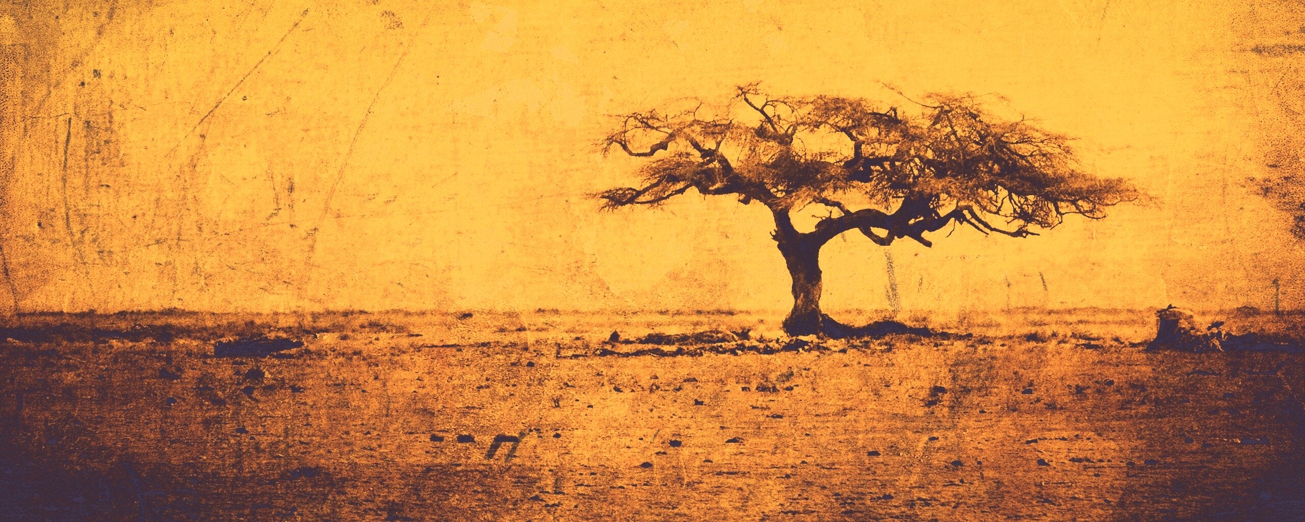 Гранжевое дерево в саванне обои