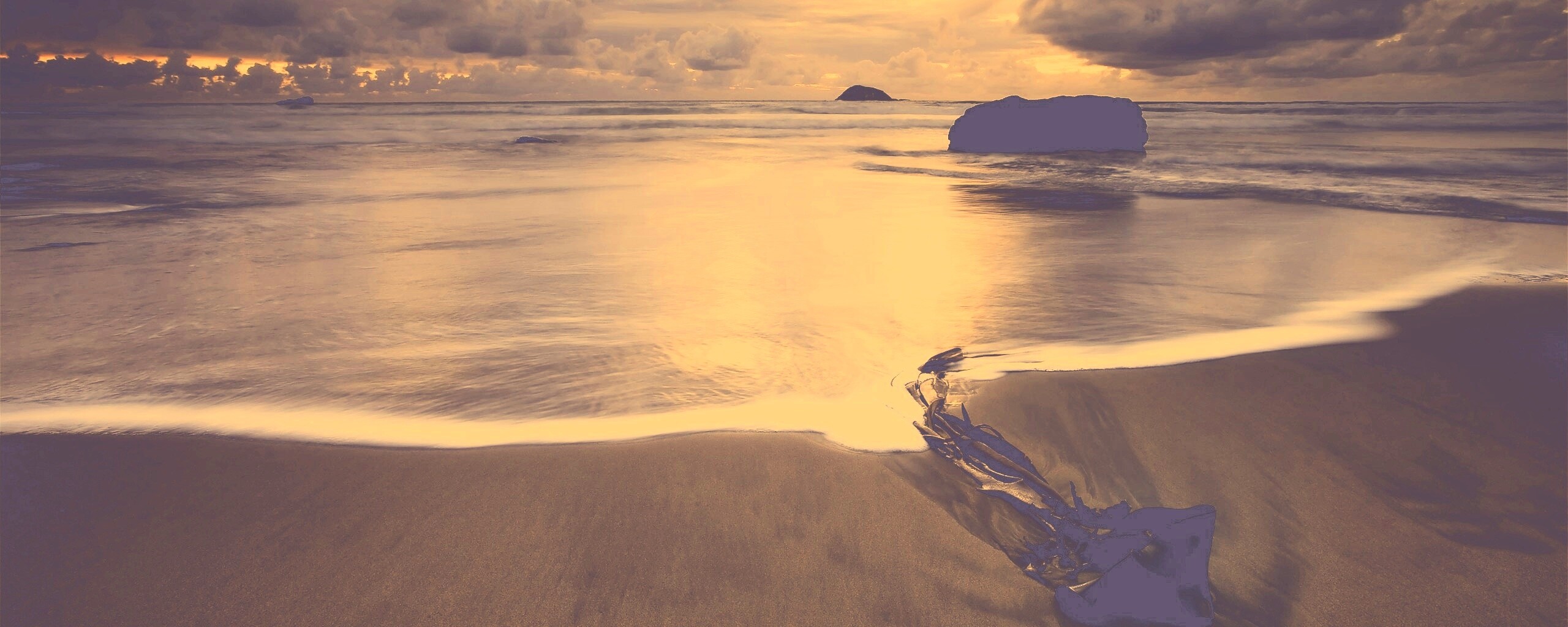 Коряга на пляже обои