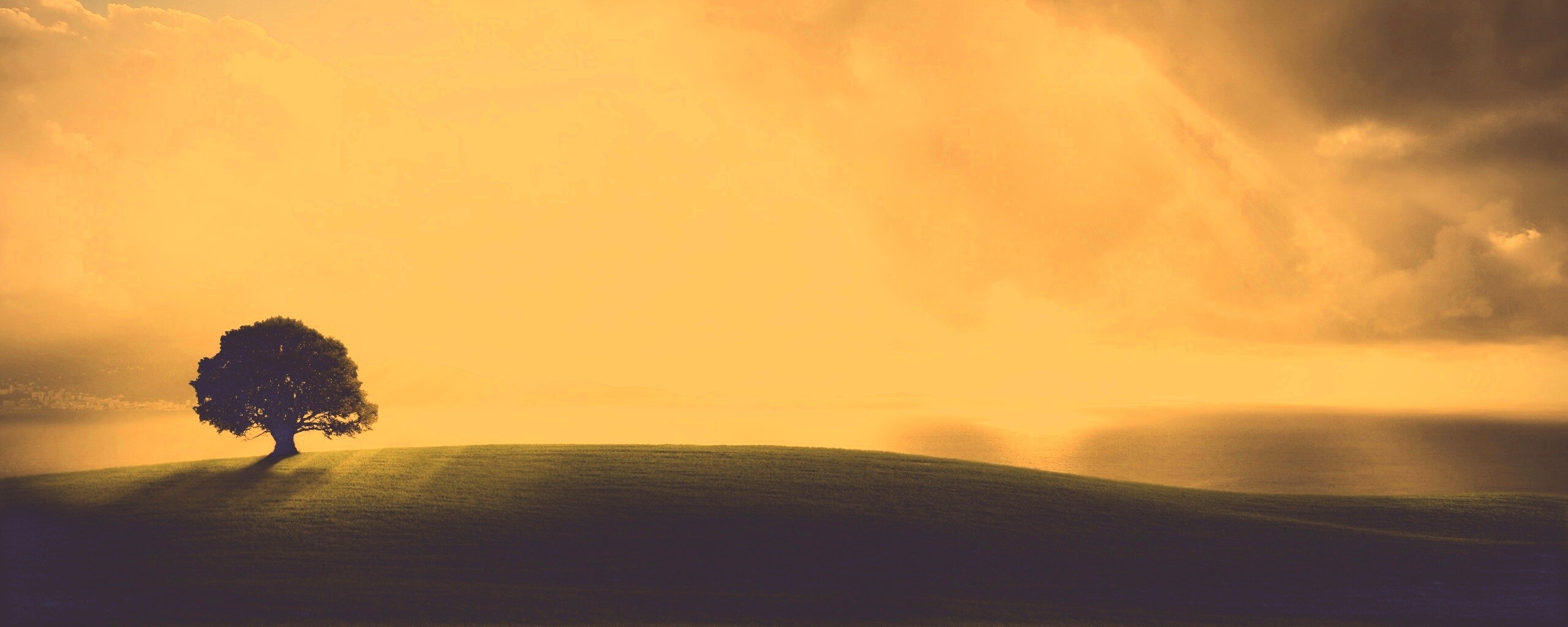 Холм и дерево обои