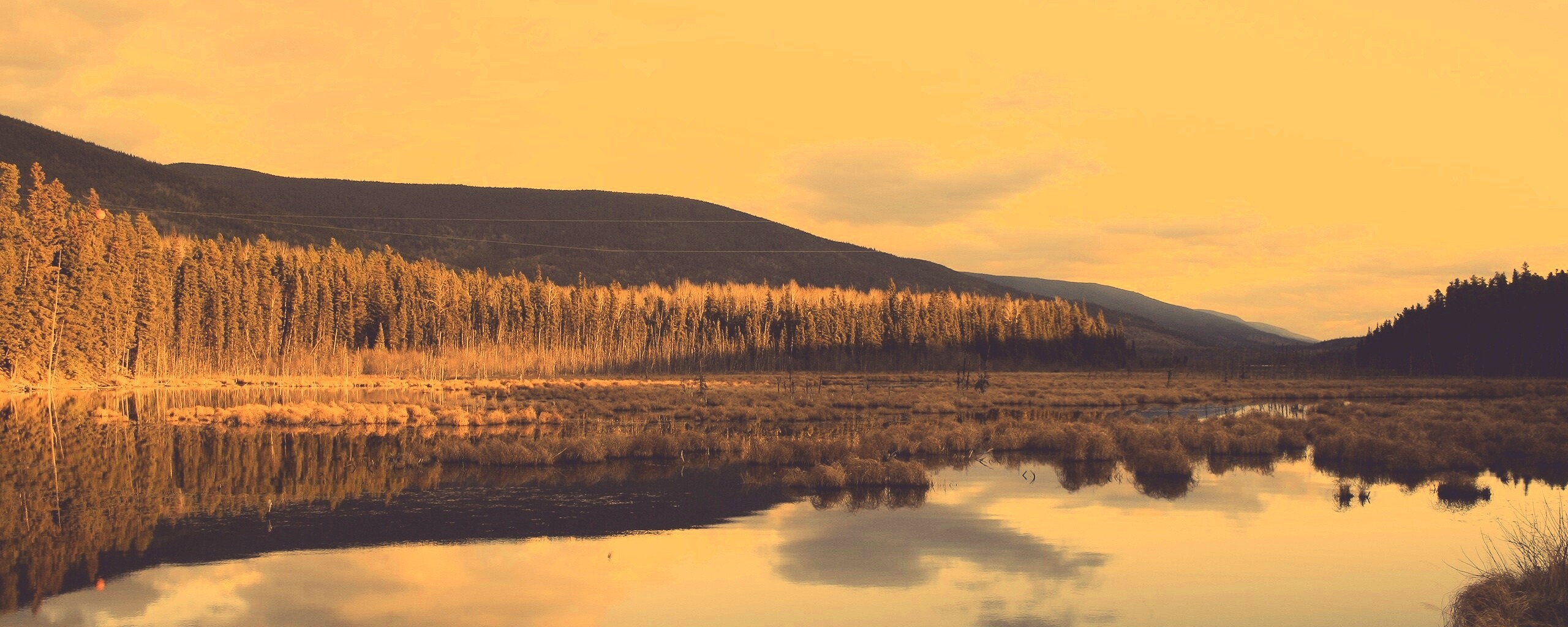 Осеннее озеро обои