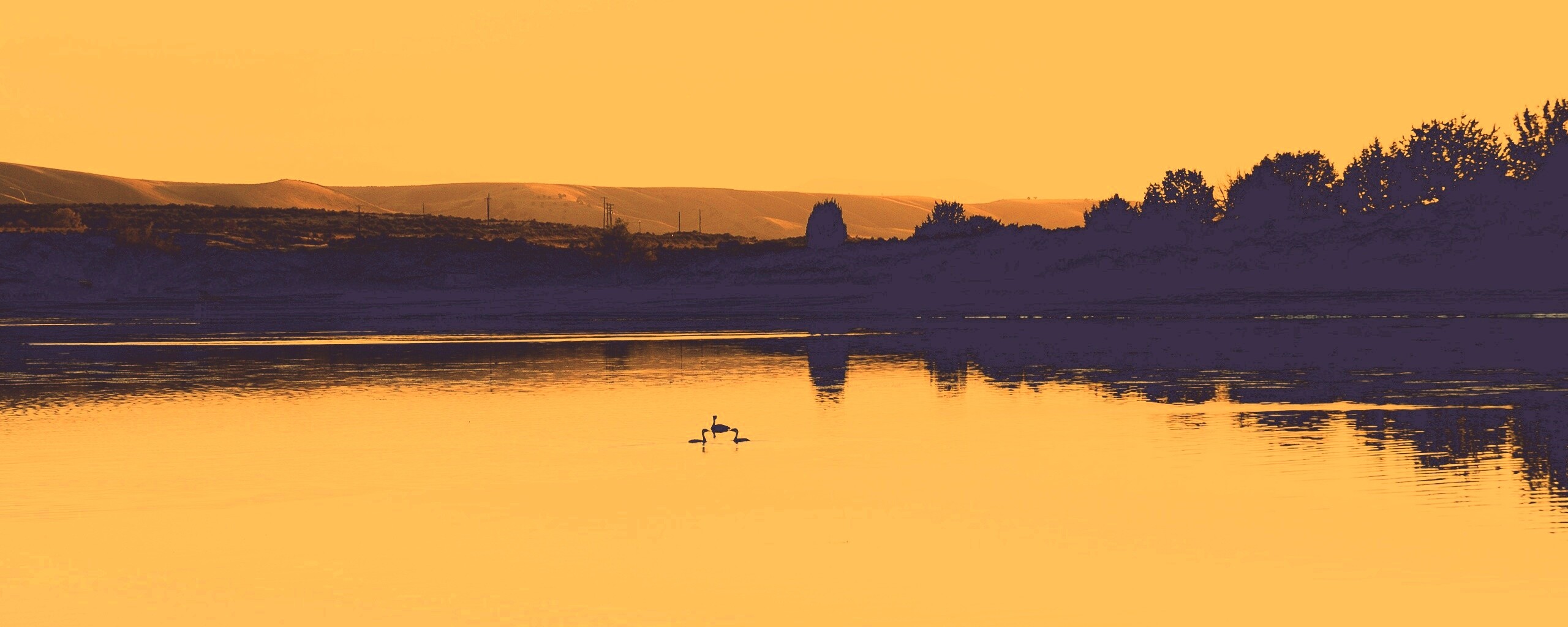 Утиное озеро обои