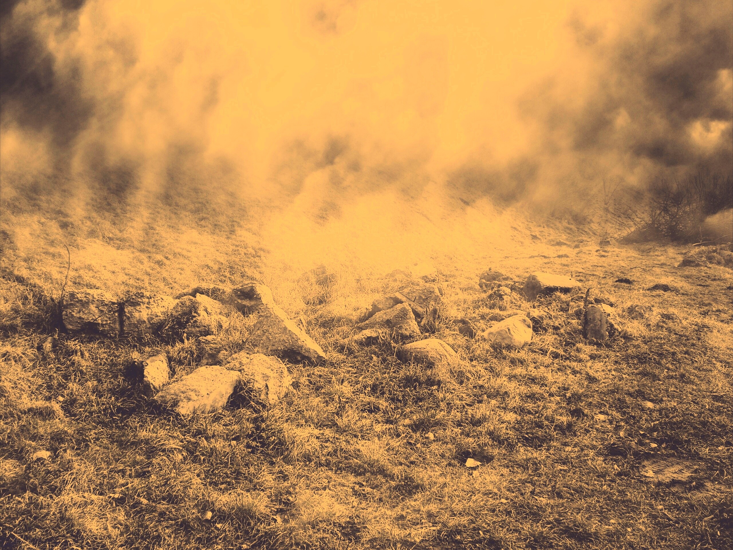 Туман на склоне обои