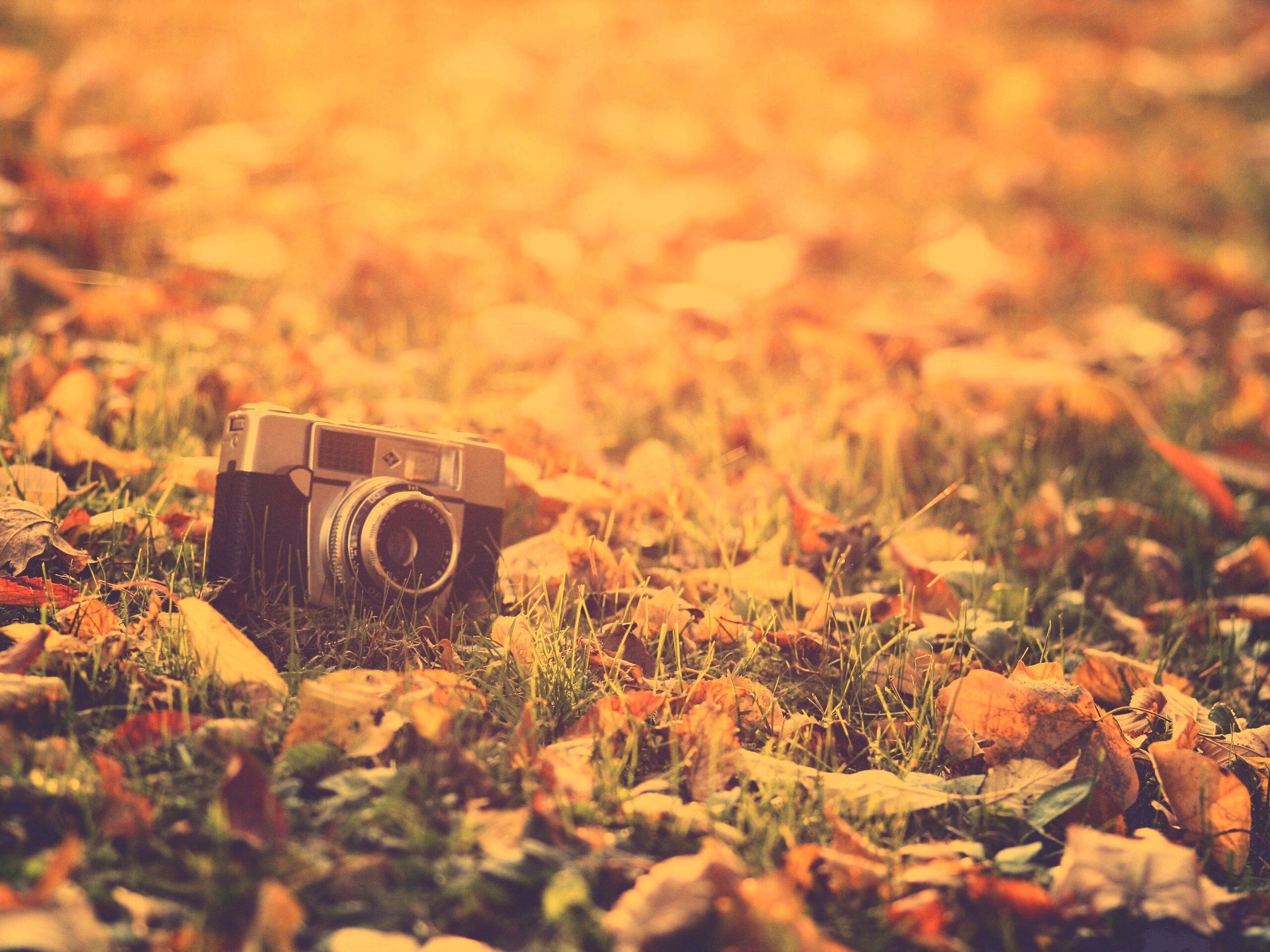 Старый фотоаппарат в траве обои