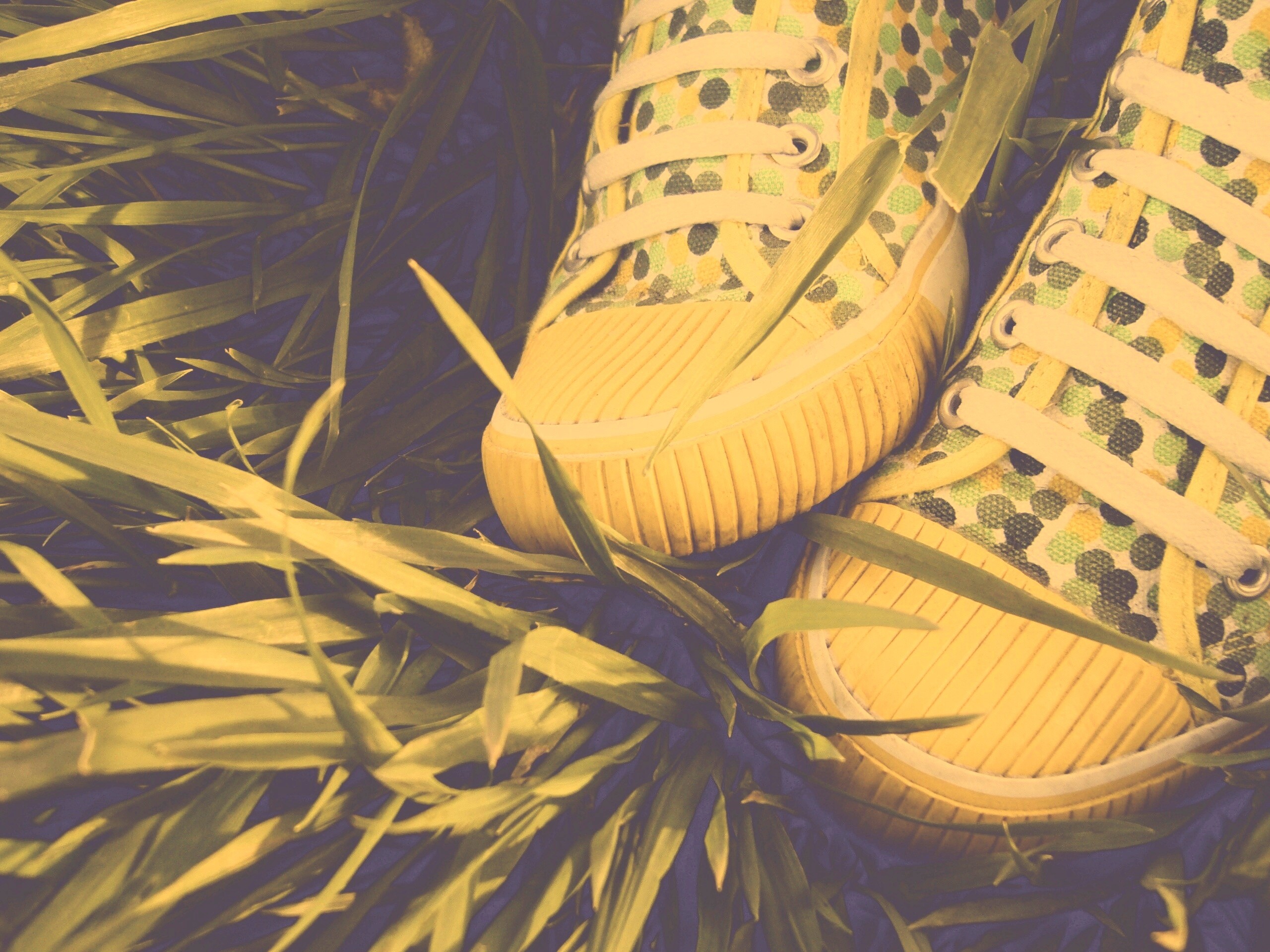 Желтые кеды в горошек обои