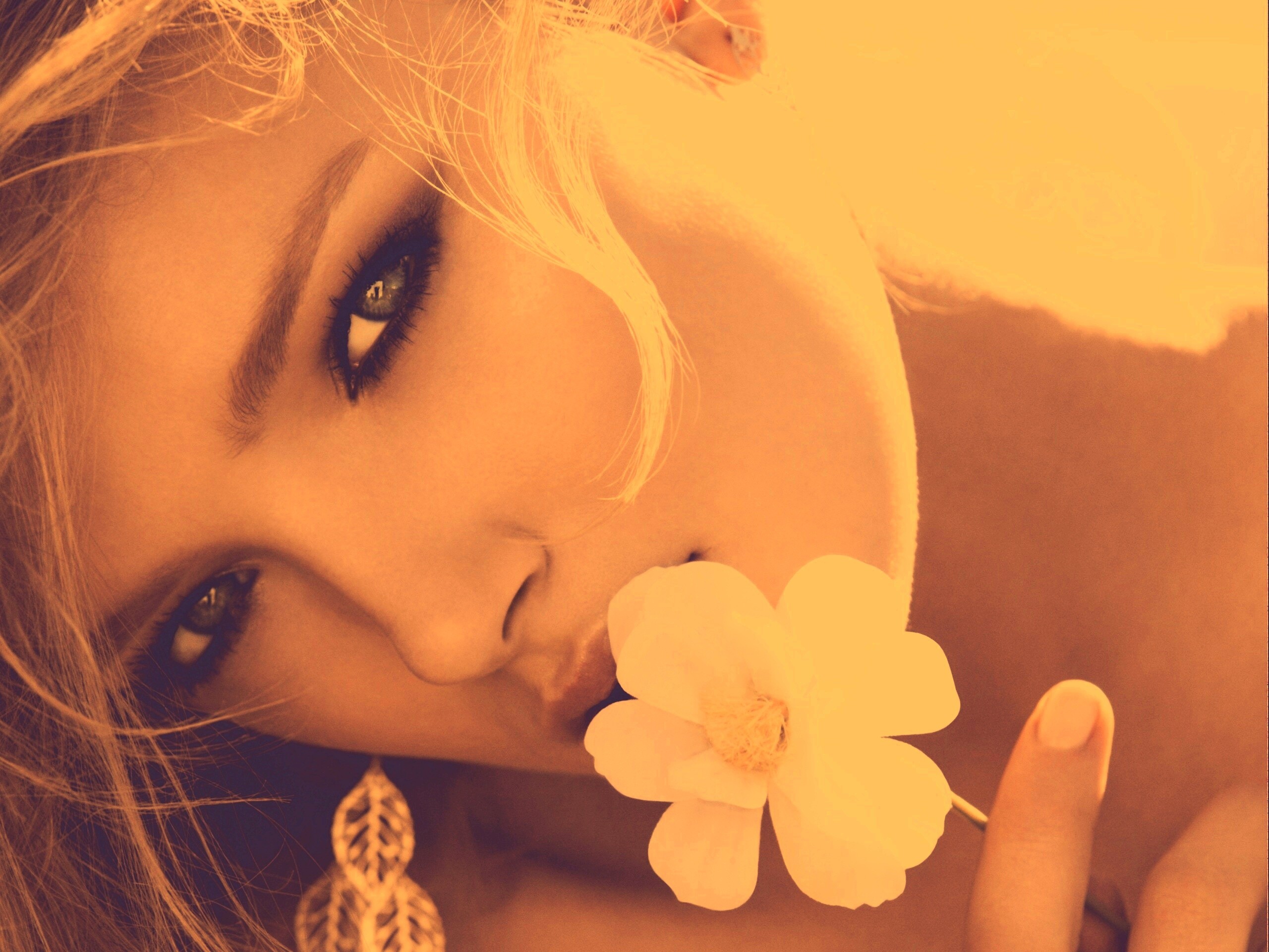 Красавица с белым цветком обои