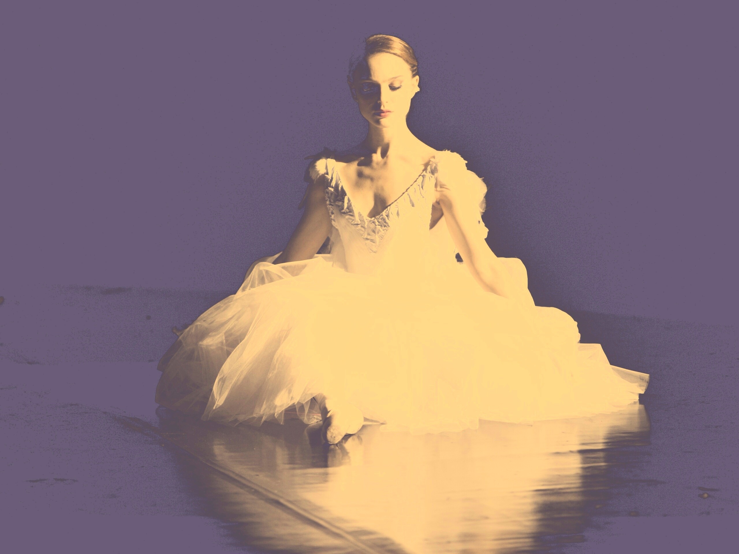 Черный лебедь обои