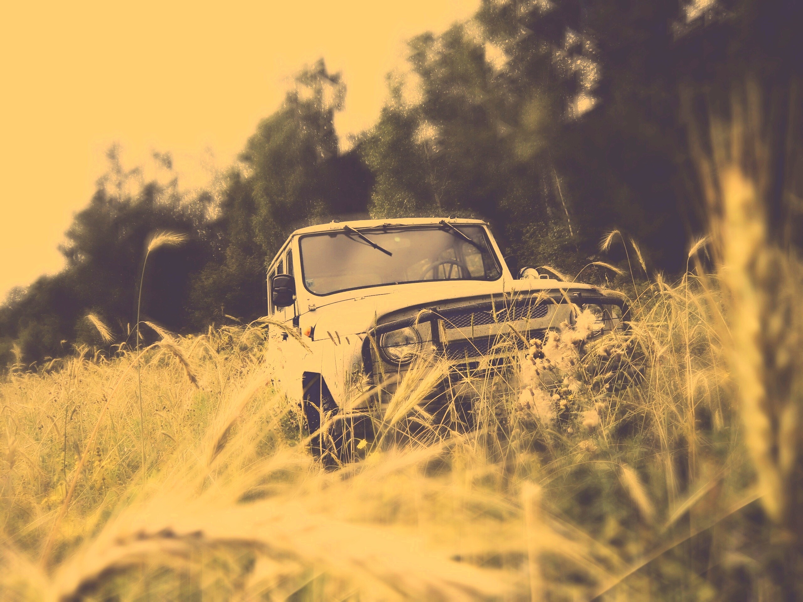 УАЗик в траве обои