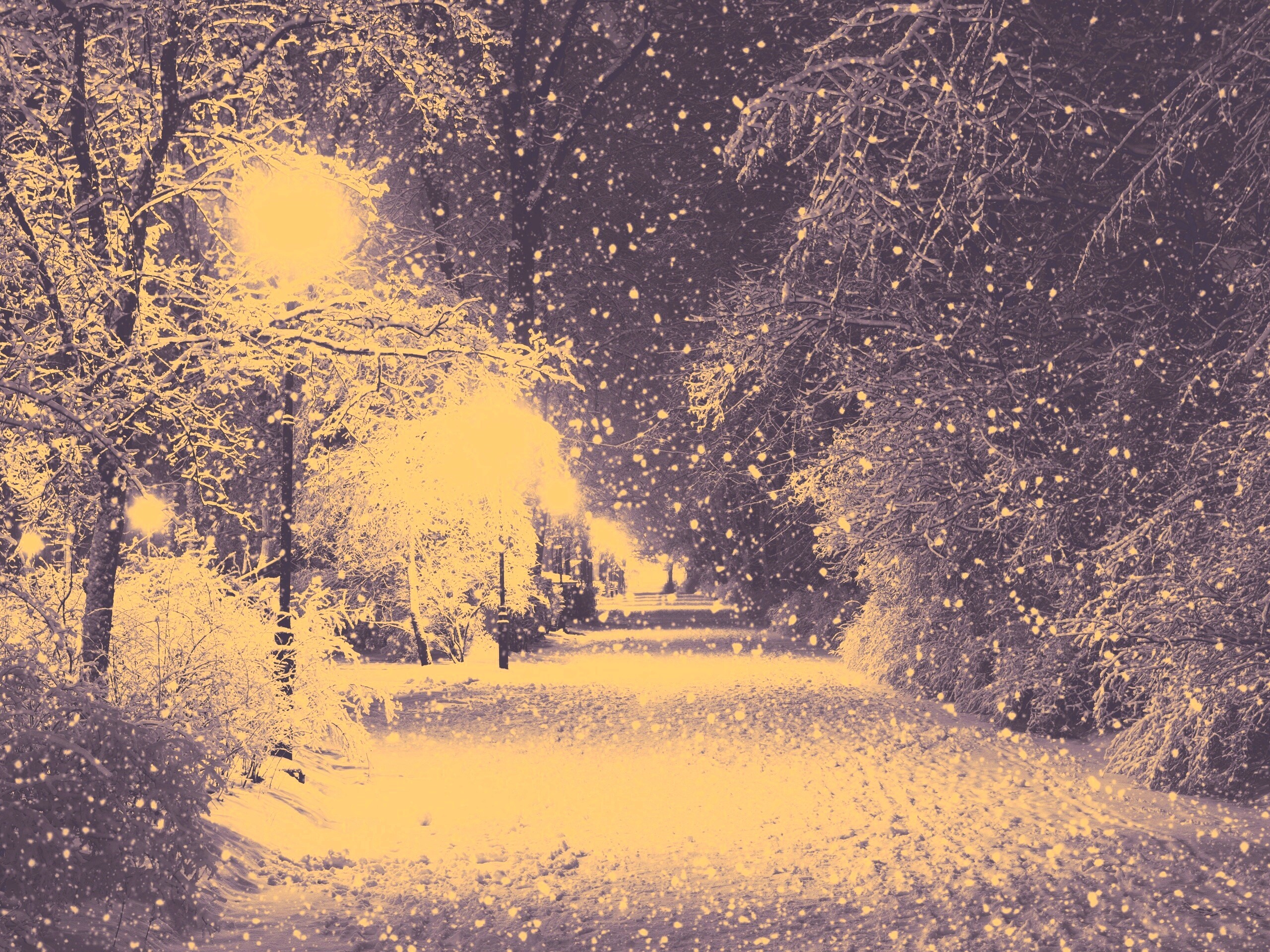 Зимняя аллея обои